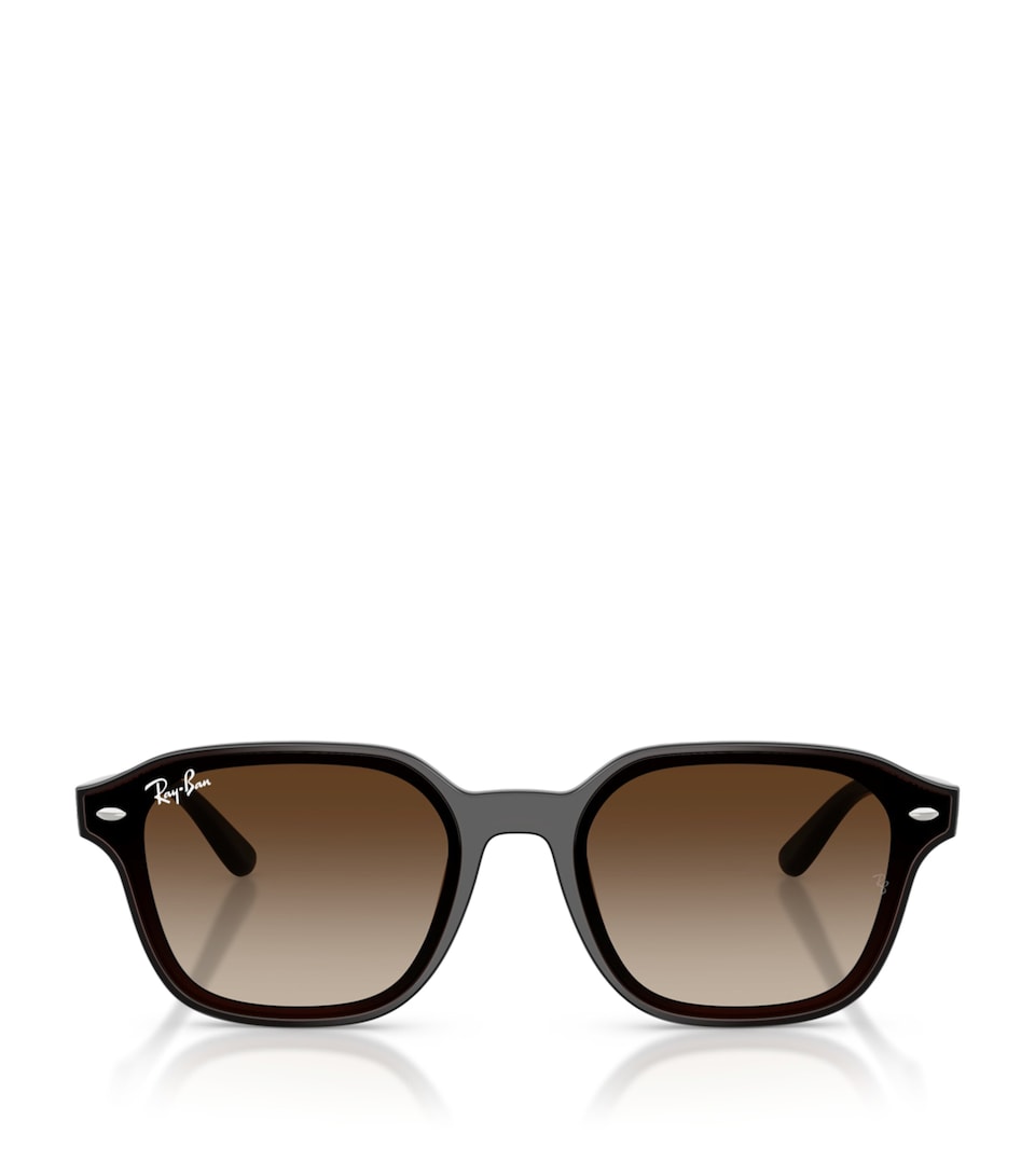 RB4458D Square Sunglasses
