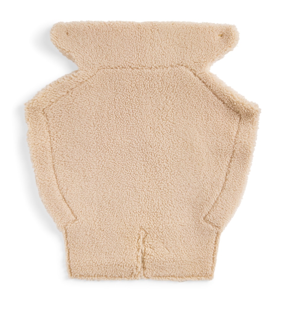 Shearling Winter Baby Carrier Insert