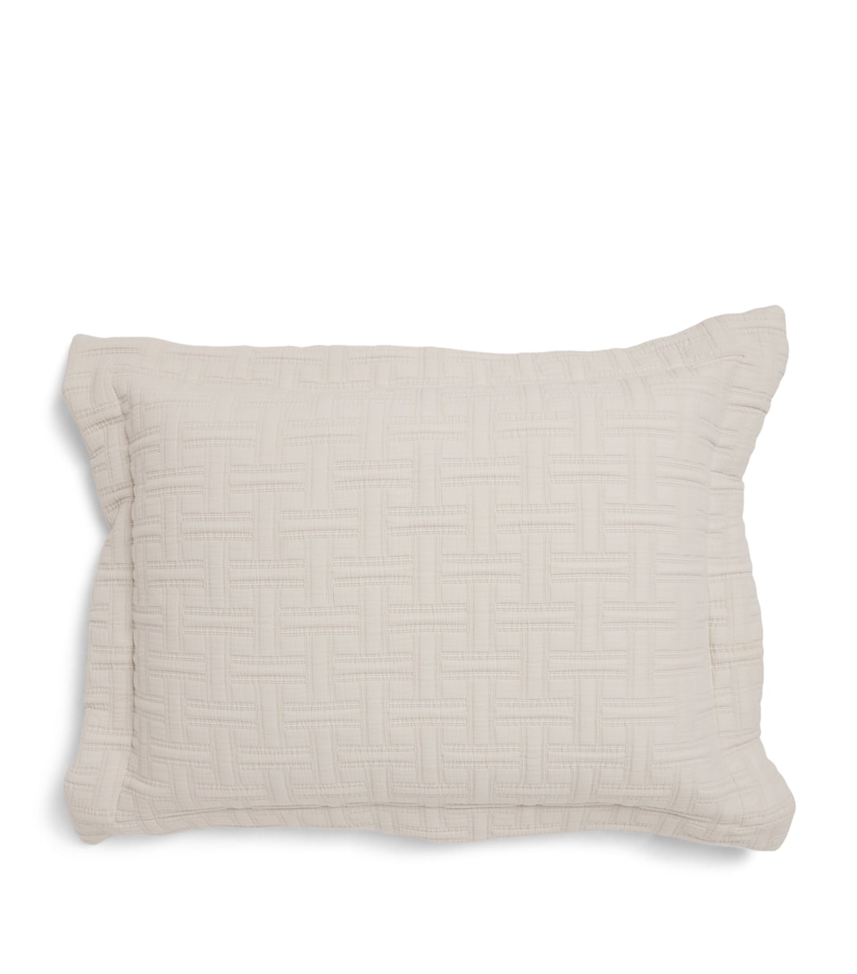 Embroidered Kengo Oxford Cushion (60cm x 45cm)