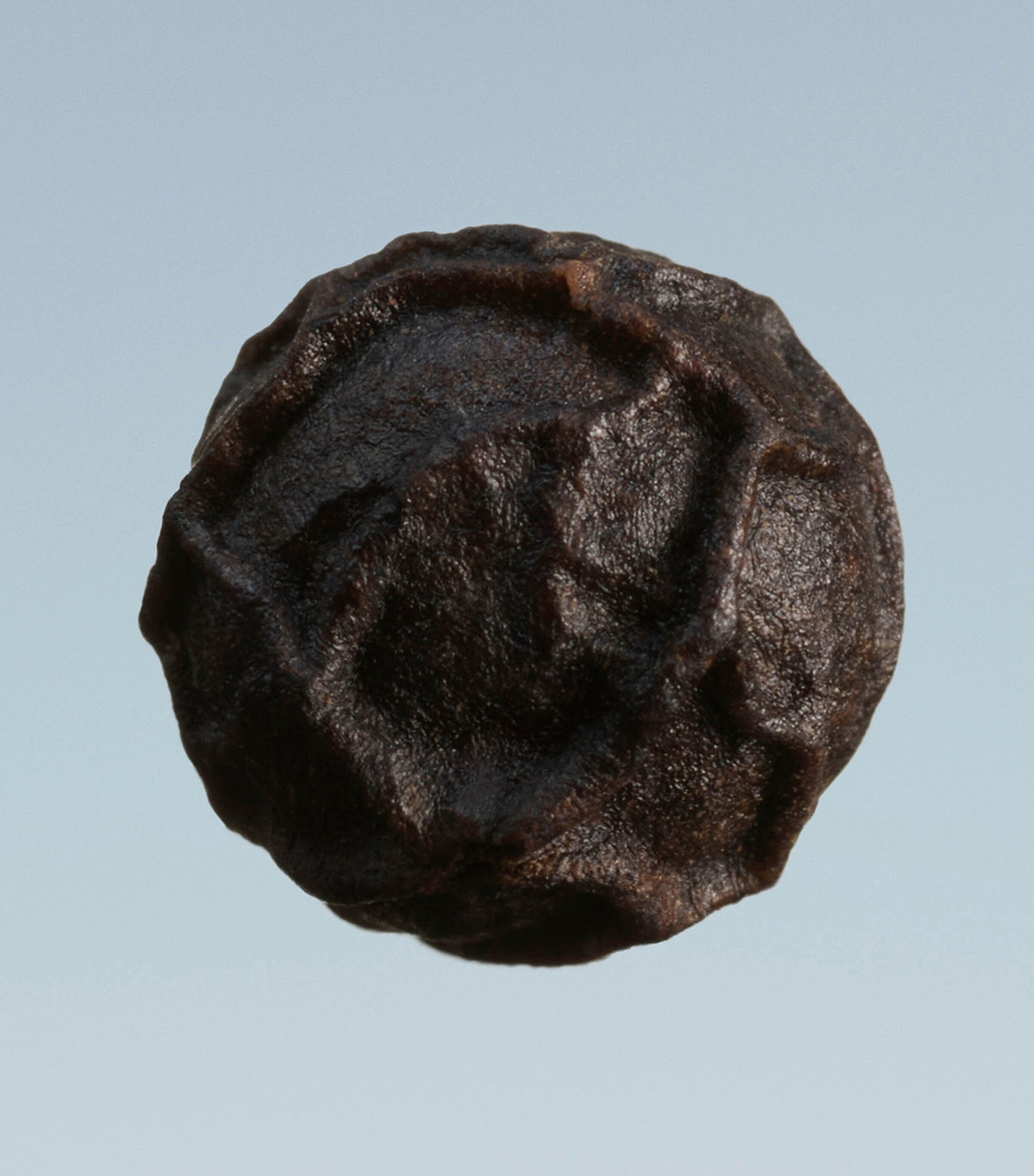 Extreme Botanicals Oud Storm Eau de Parfum (100ml) NO COLOUR Image 3