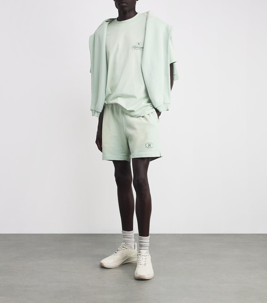 Cotton Grand Vintage T-Shirt WASHED SAGE Image 2