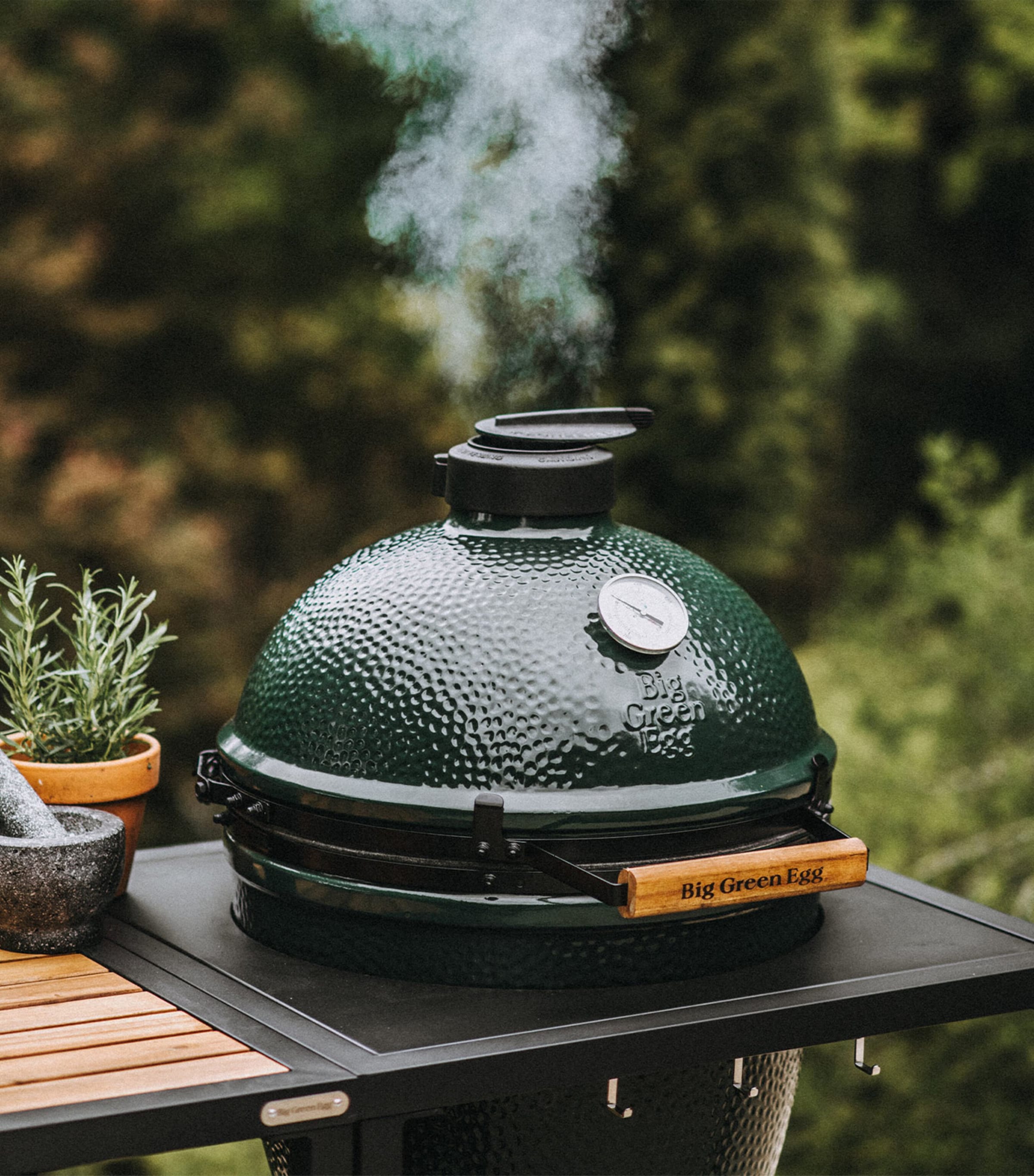 Large Big Green Egg GREEN Image 7