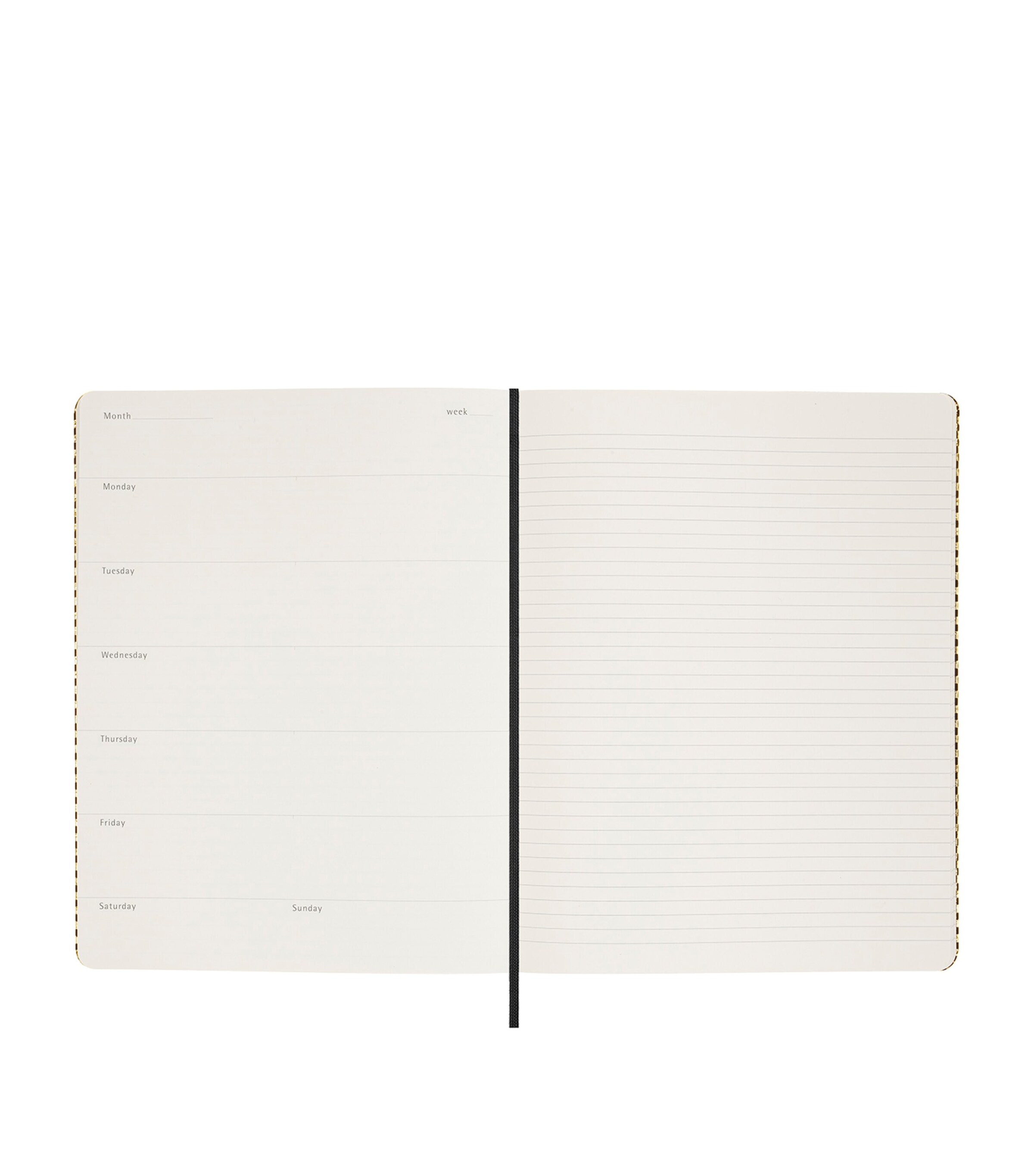 Moleskine Shine Collector's Planner and Pen Set Gold Image 4