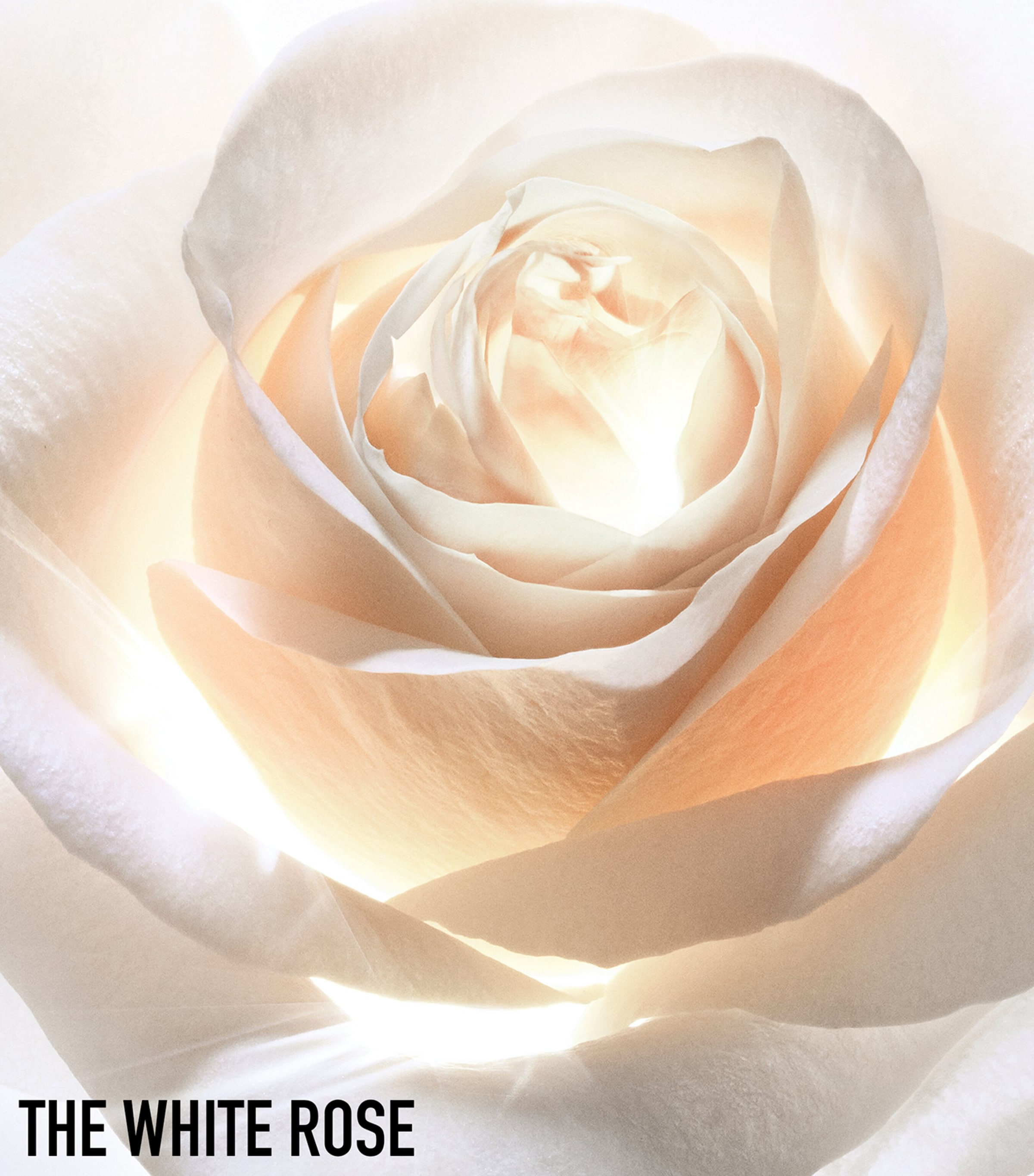 Prestige Light-in-White La Solution Lumière Activated Serum (30ml) NO COLOUR Image 5