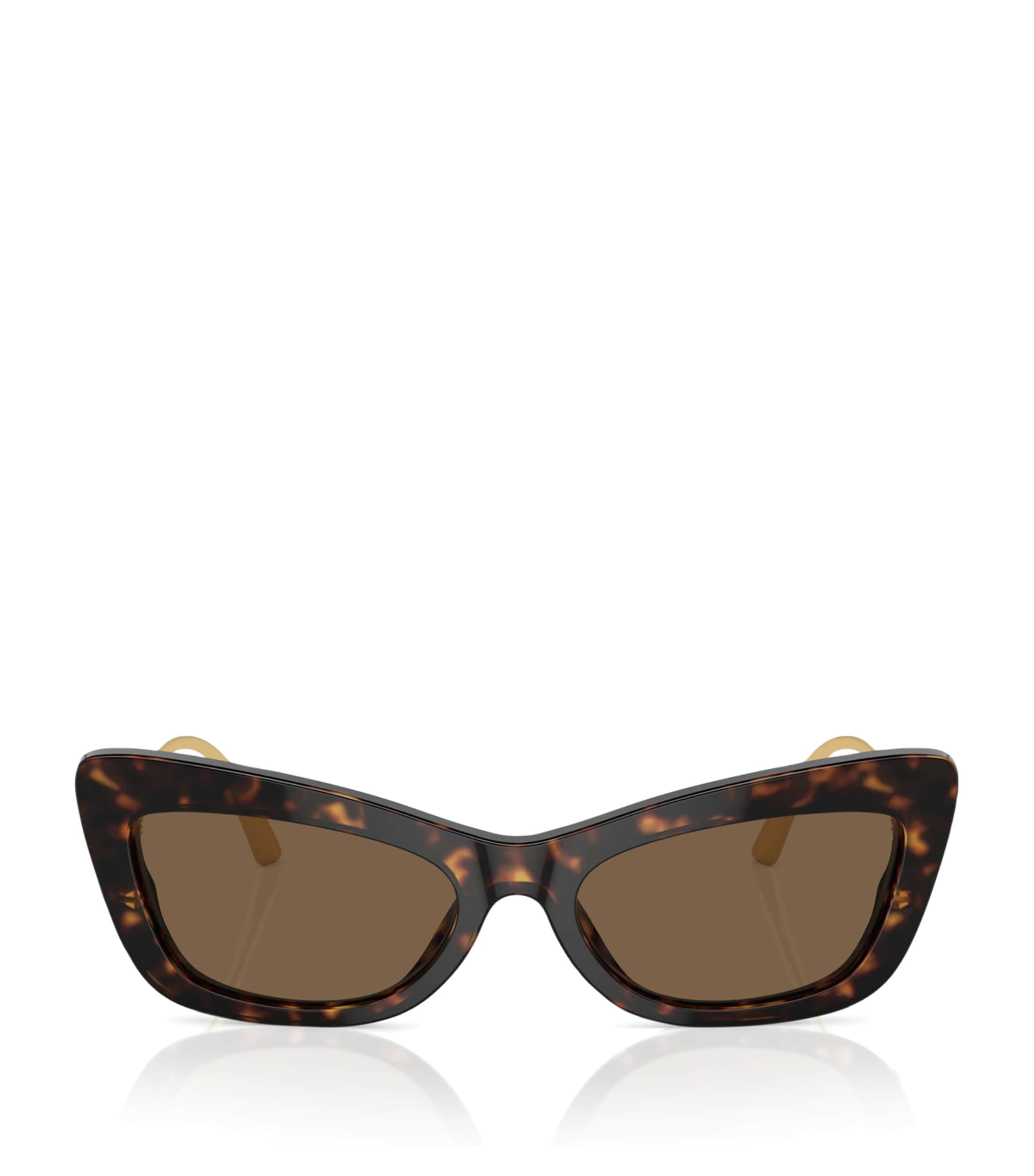 Dolce & Gabbana Acetate Dg4467b Sunglasses In Brown
