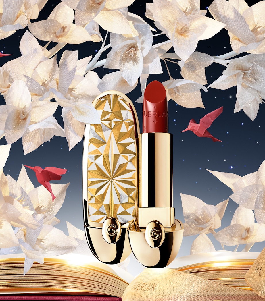 Rouge G Stellar The Double Mirror Case NO COLOUR Image 3