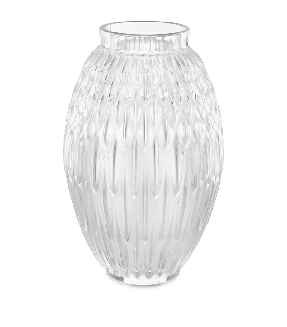Crystal Plumes Vase (26.5cm) INCOLORE Image 1