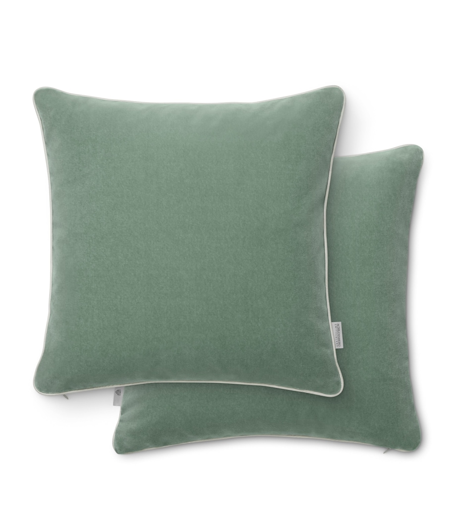 Velvet Elodie Cushion (40cm x 40cm) SAGE Image 1