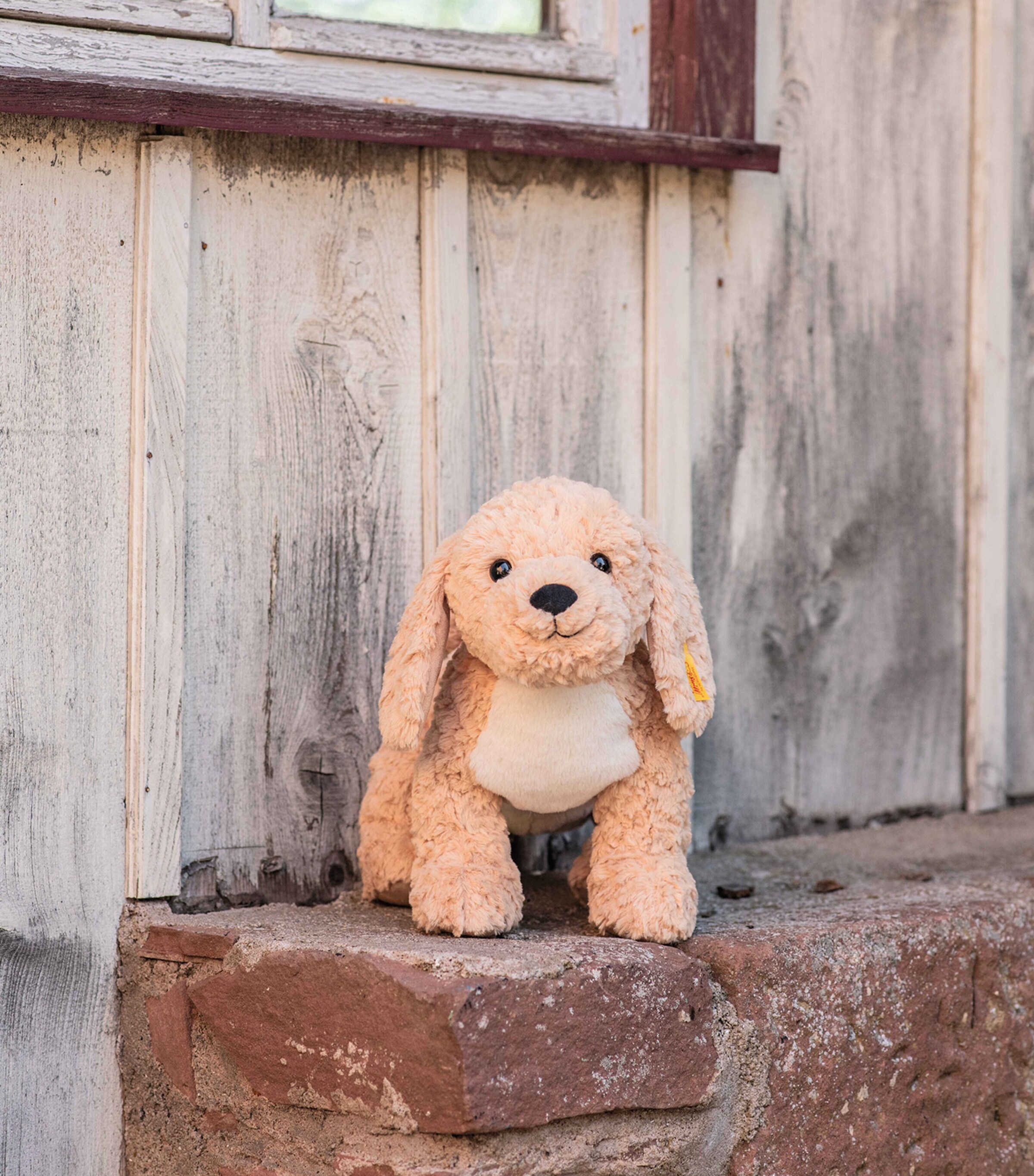 Steiff Berno Goldendoodle (36cm) Image 2