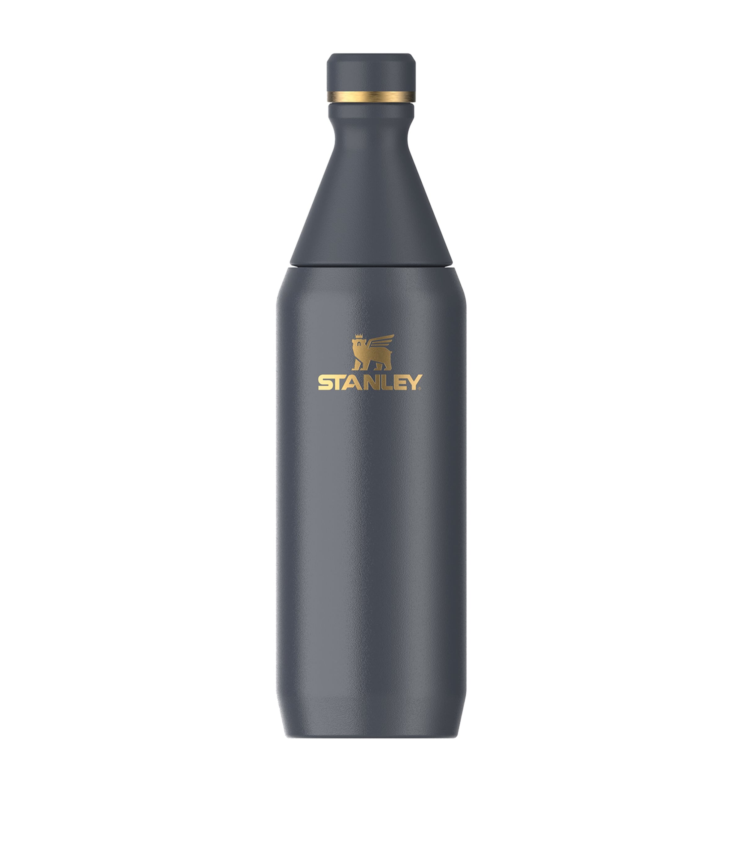 Stanley All Day Slim Bottle In Gray