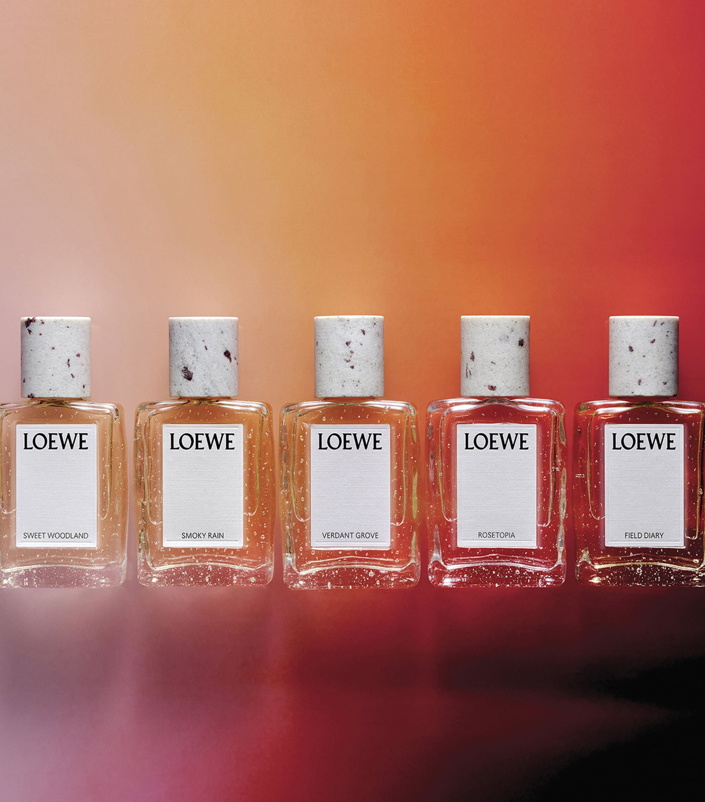 LOEWE Perfumes Field Diary Eau de Parfum (100ml) Image 5