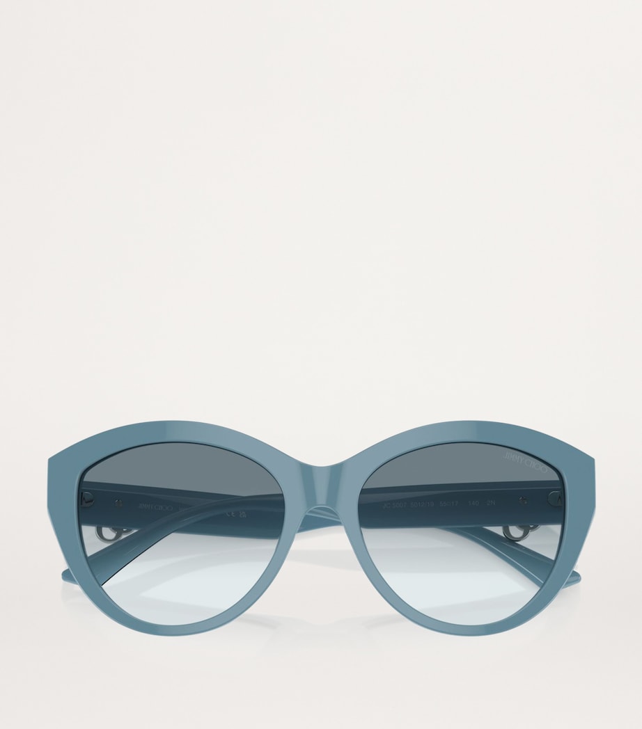 Acetate JC5007 Sunglasses 501219 Image 4