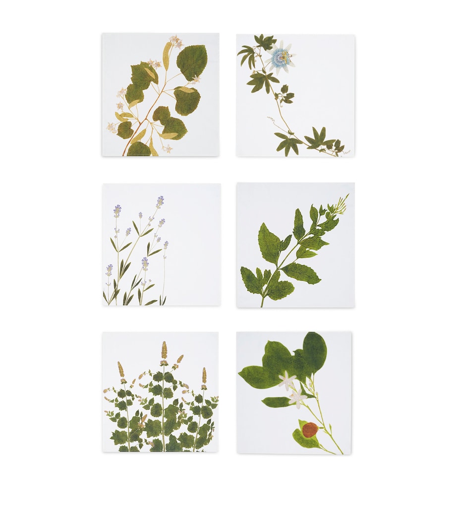 Set of 6 Linen Tisane Herb Garden Napkins (50cm x 50cm) GREEN Image 1