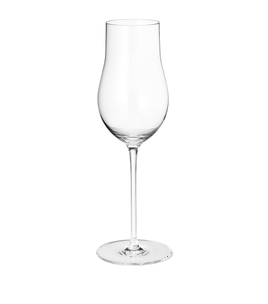 Set of 4 Sky Champagne Flutes (250ml) CLEAR Image 1