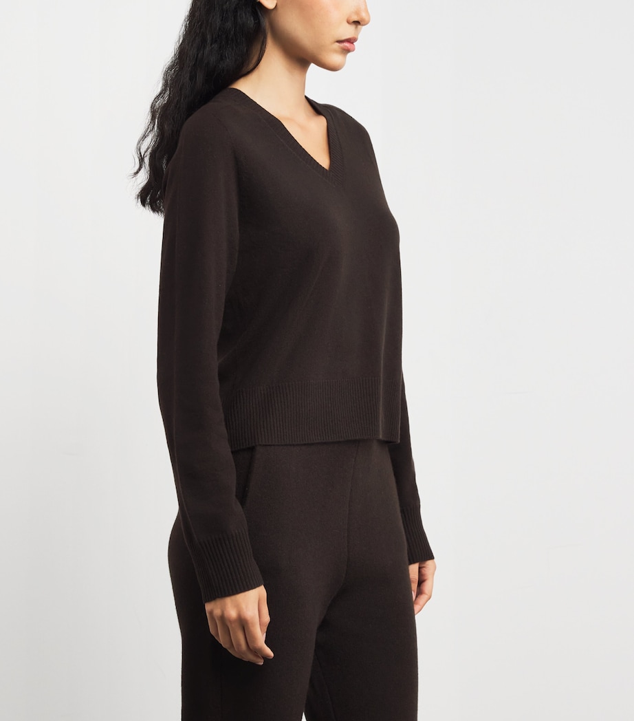Cashmere V-Neck Holyhead Sweater BROWN WOOD Image 3