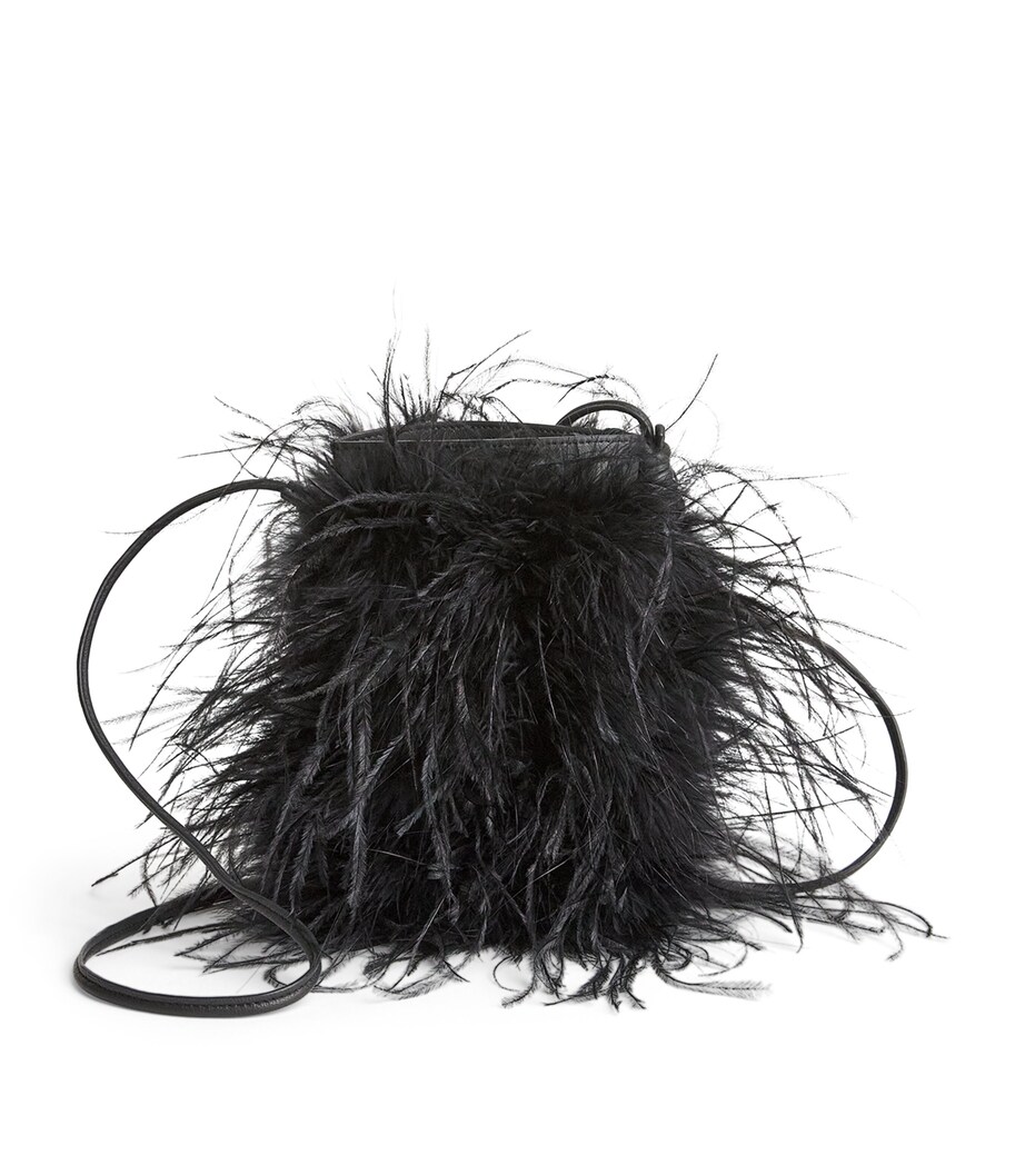 Yves Salomon Leather-Ostrich Feather Cross-Body Bag Image 1