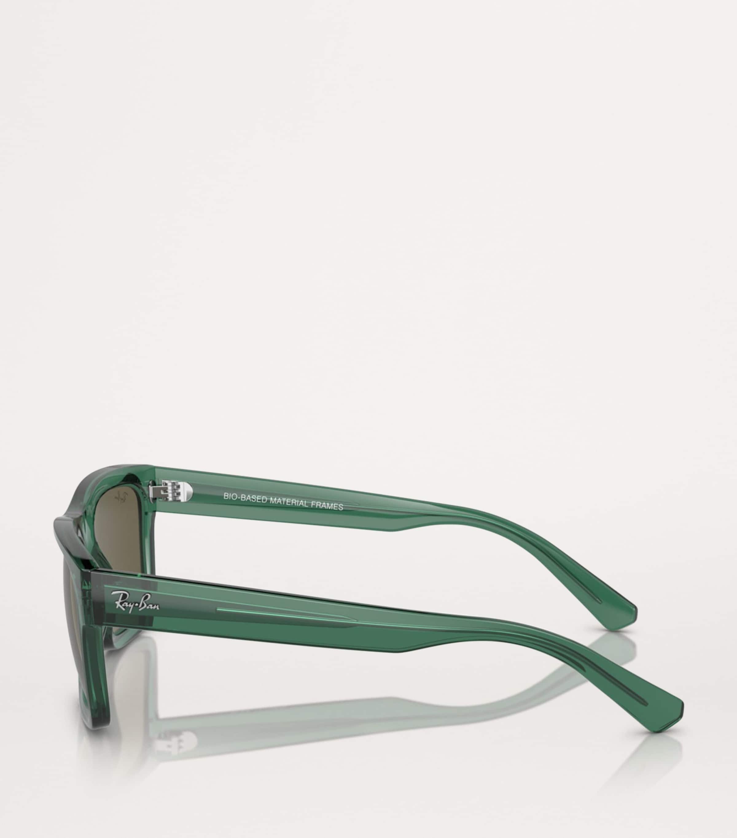 Ray-Ban Acetate 0RB4396 Sunglasses Image 3