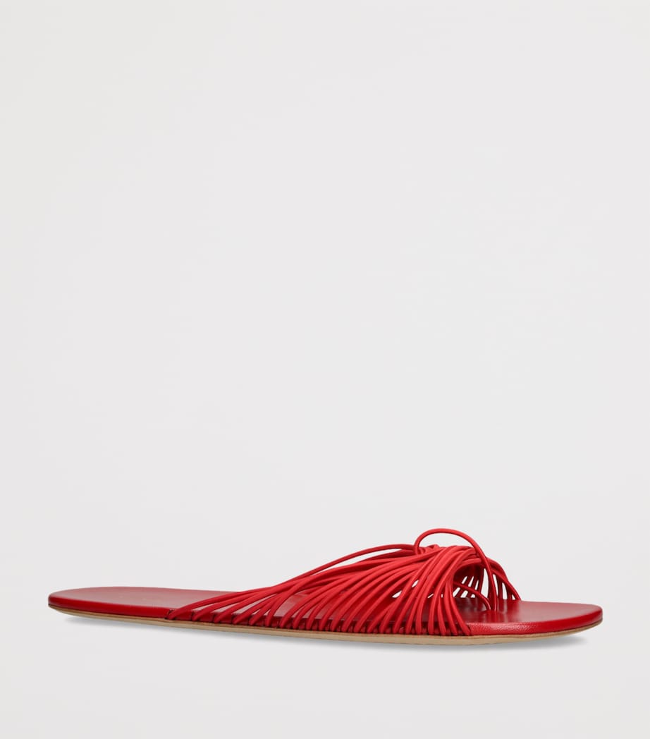 Sara Slides RED Image 3