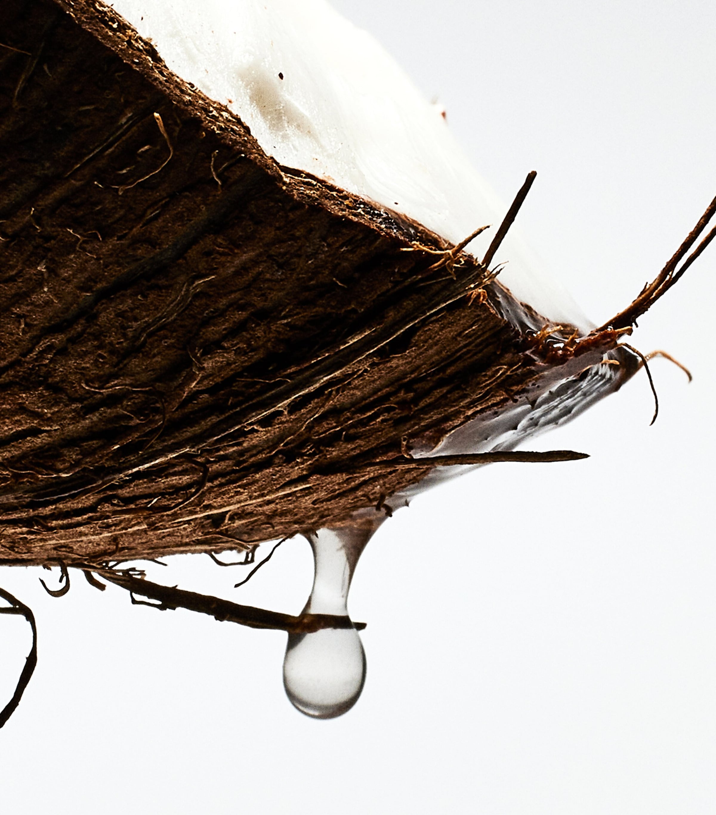 x Paula’s Ibiza Eau de Toilette (100ml) NO COLOUR Image 3