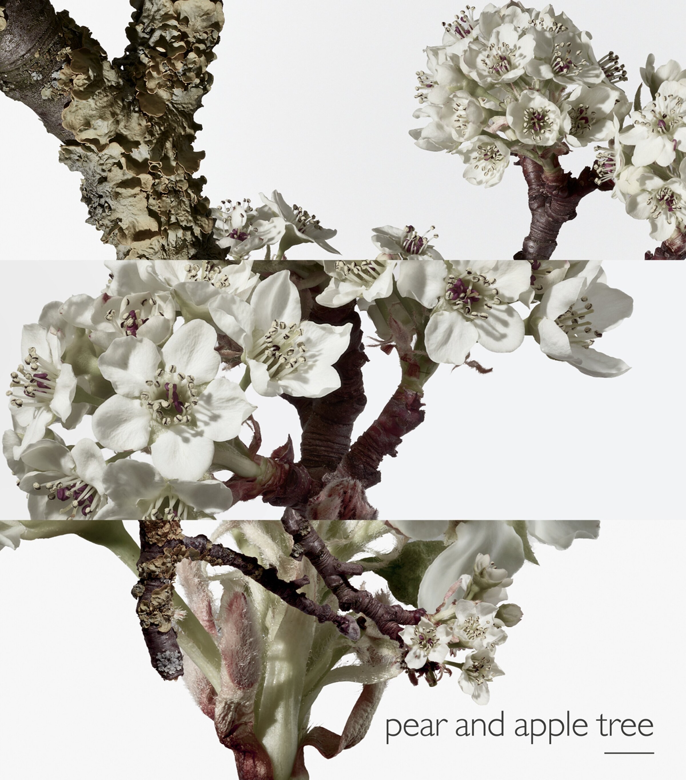 Un Jardin Sur Le Toit Eau de Toilette (100ml) NO COLOUR Image 5