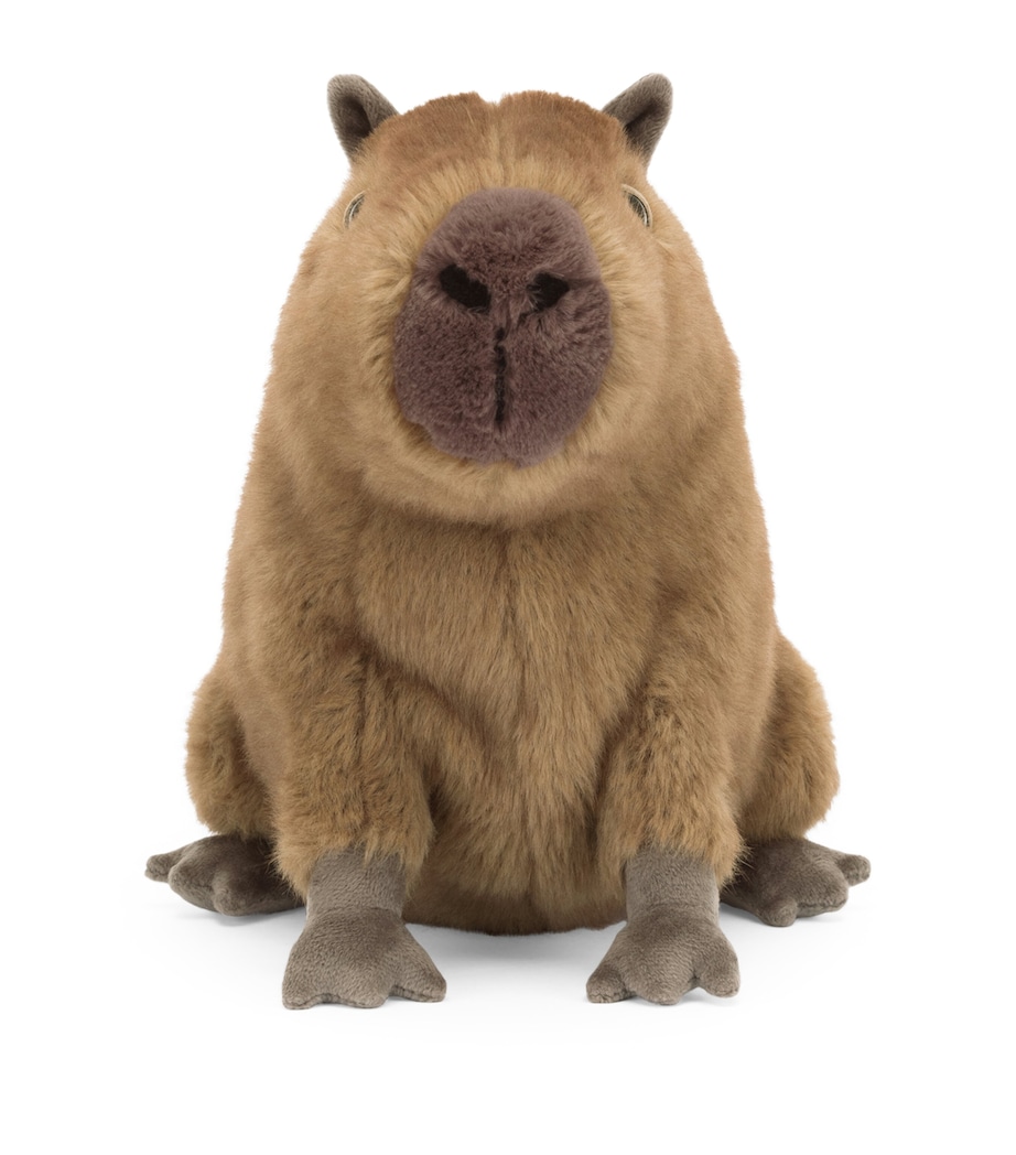 Clyde Capybara (21cm) MULTI Image 2