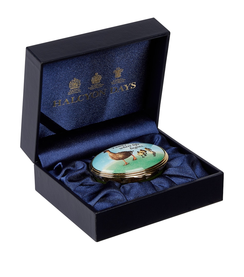 Where Life Begins Box GREEN Image 1