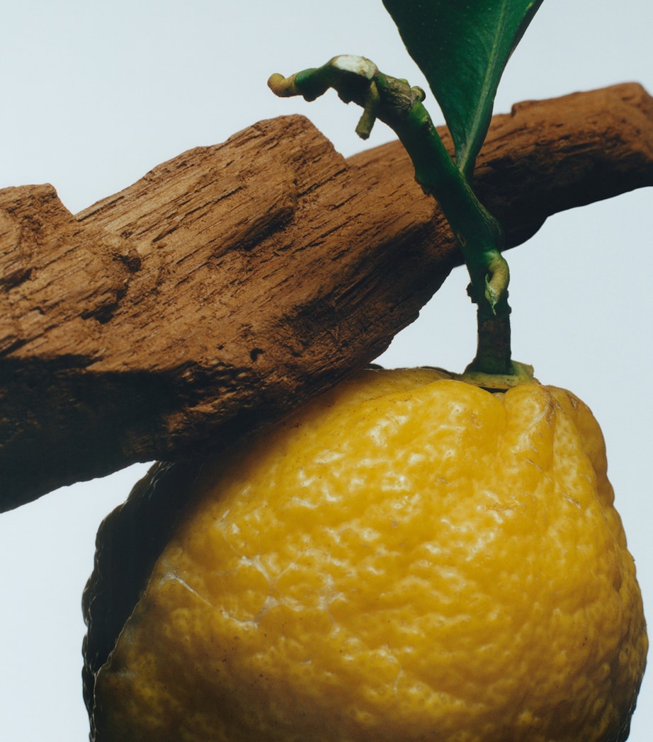 Oud & Bergamot Body & Hand Wash (250ml) NO COLOUR Image 3