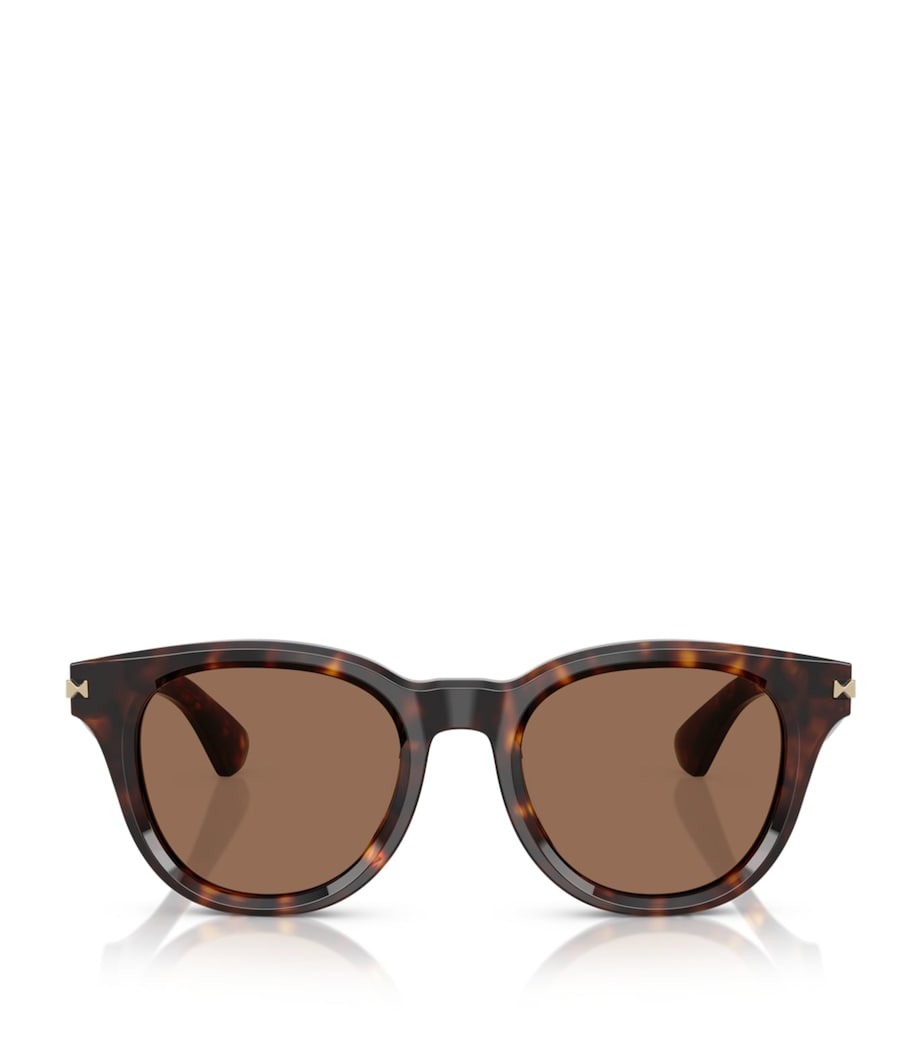 Acetate Round Sunglasses 300273 Image 1