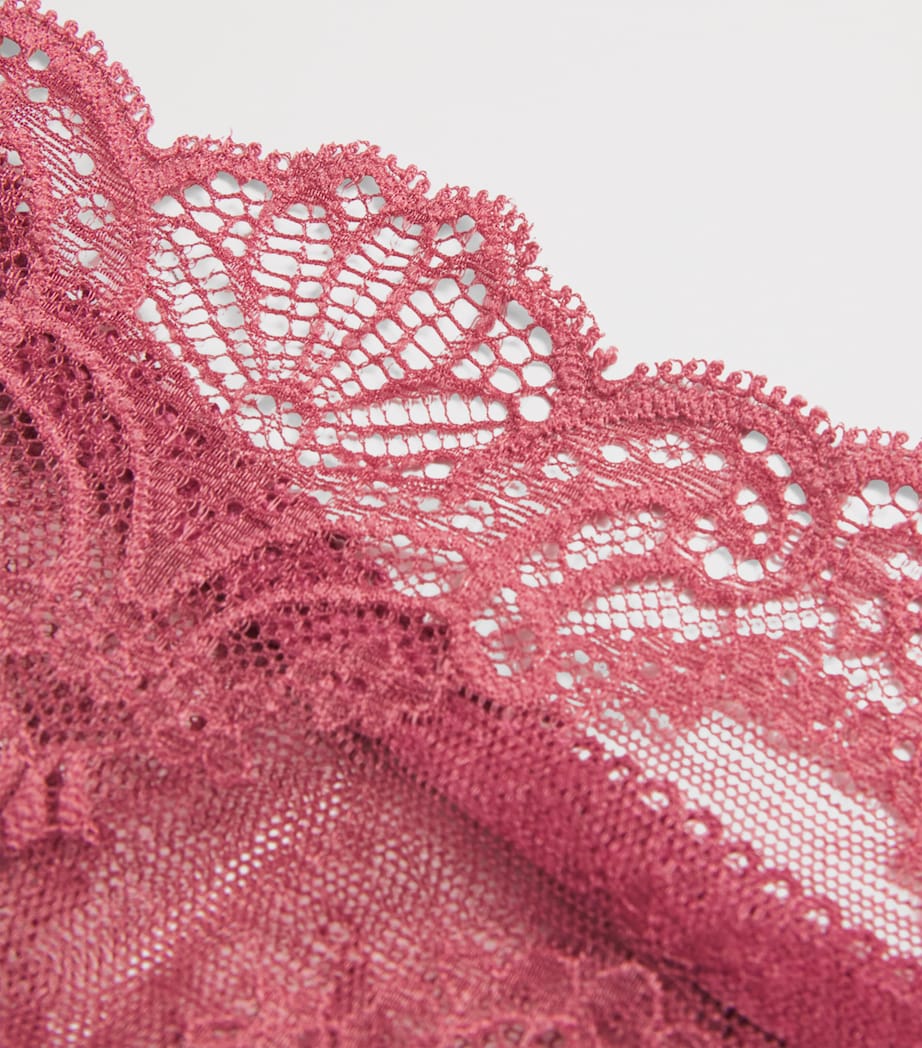 Lace Danse Des Sans Bikini Briefs MULBERRY Image 4