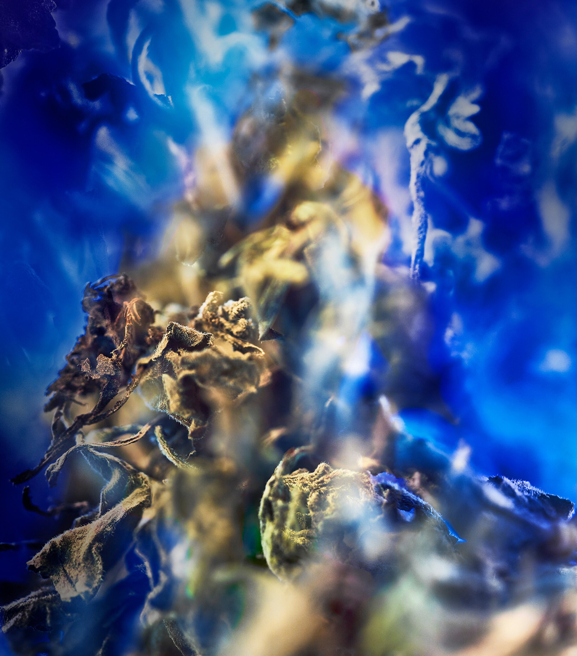 Le Gemme Gyan Eau de Parfum (60ml) NO COLOUR Image 2