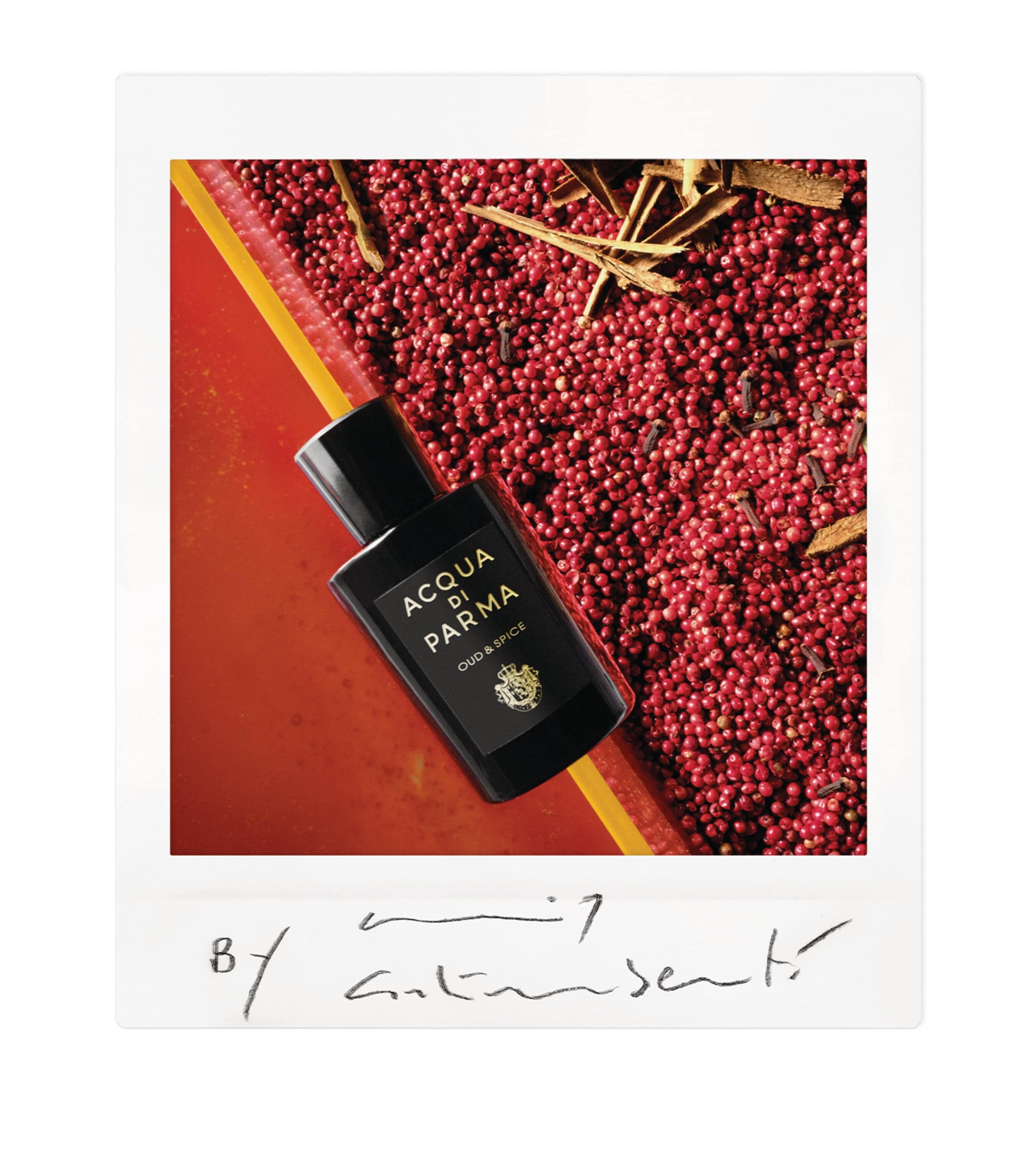 Oud & Spice Eau de Parfum (100ml) NO COLOUR Image 5