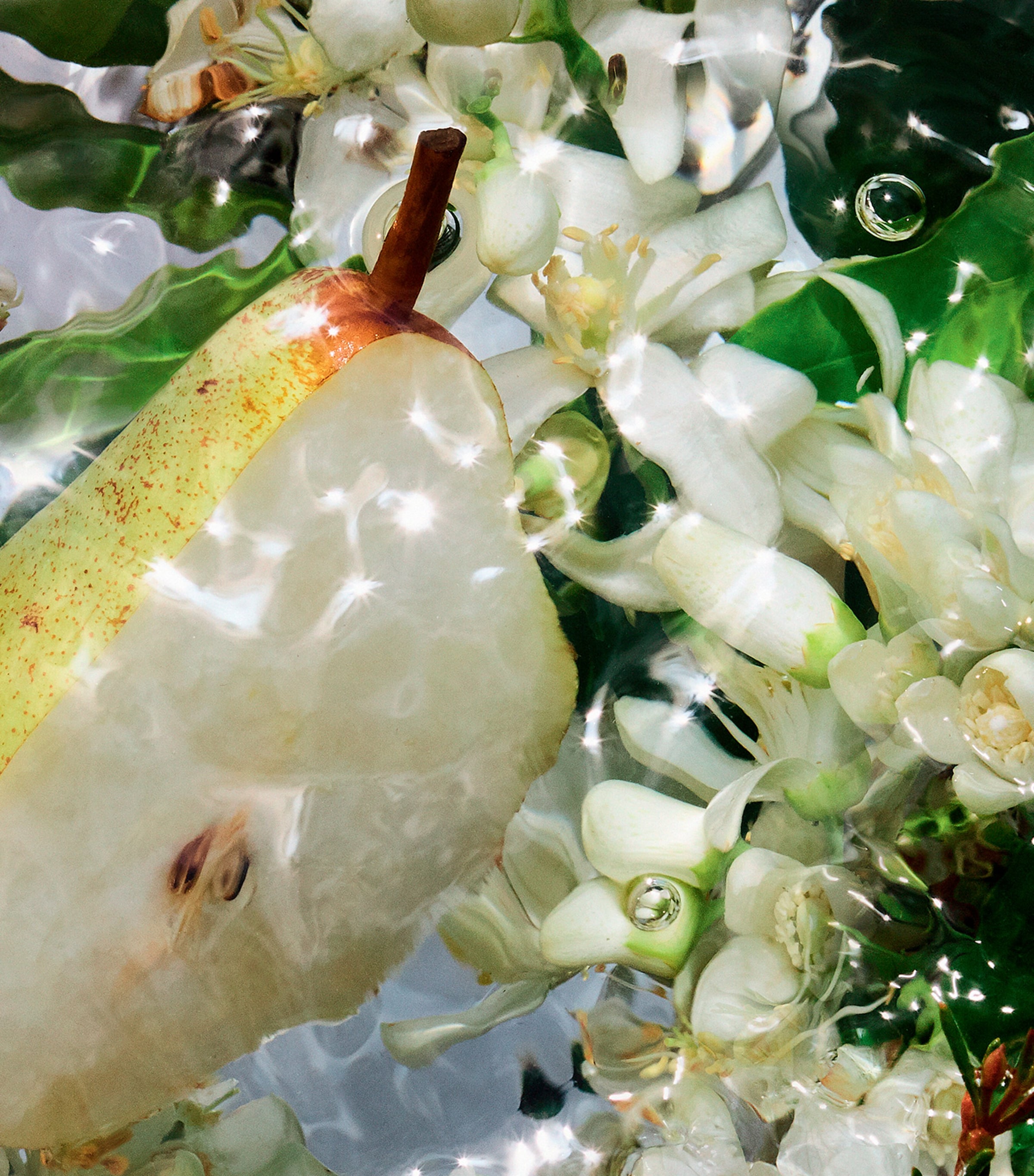 Aqua Allegoria Pera Granita Eau de Toilette (125ml) NO COLOUR Image 2