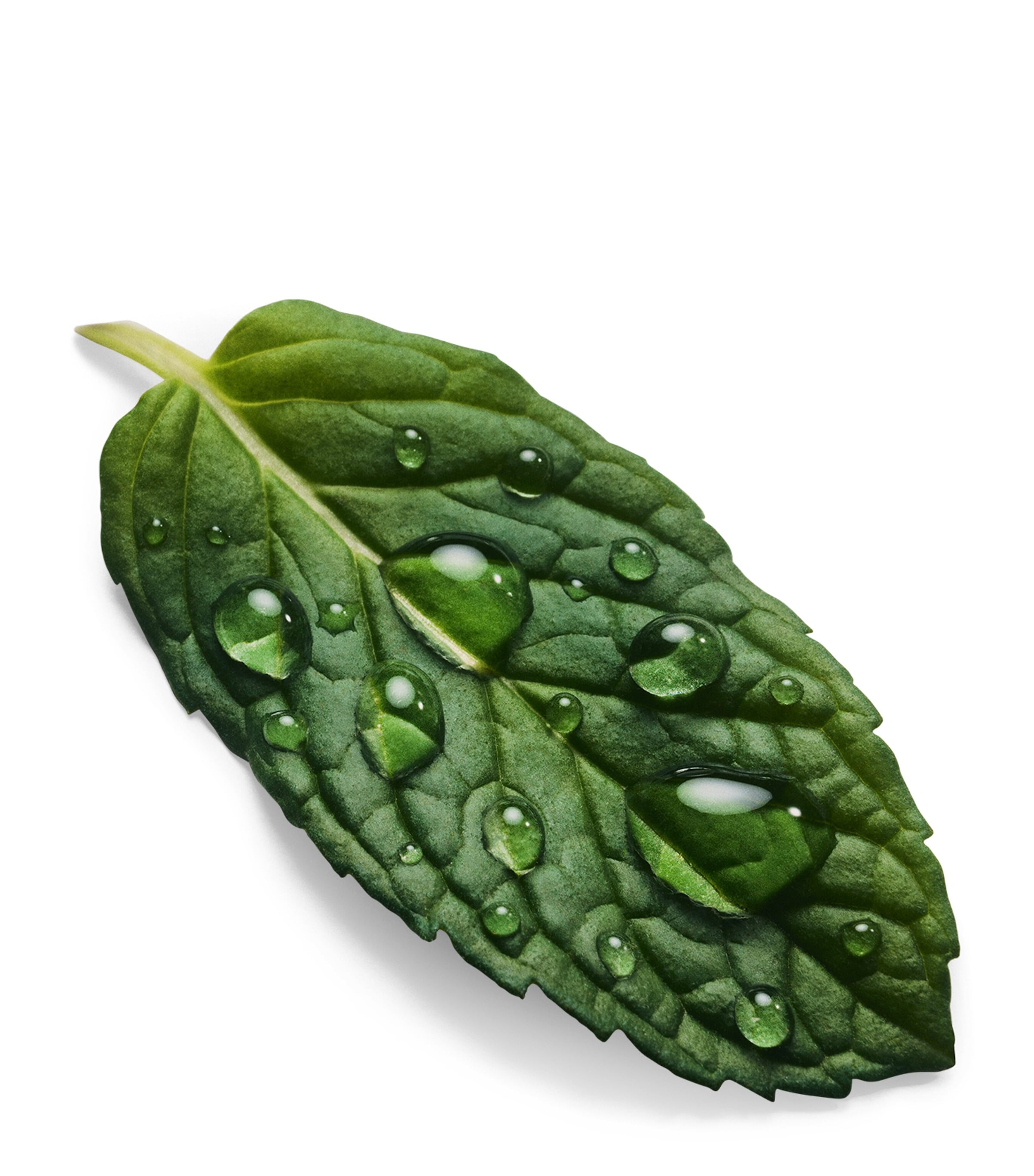 Good Girl Lip Gloss OPULENT PINK Image 5