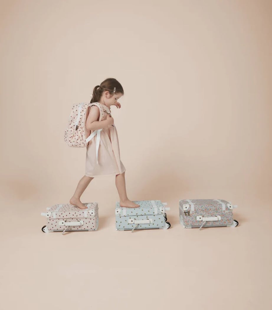 Ladybug Print See-Ya Suitcase MULTI Image 2