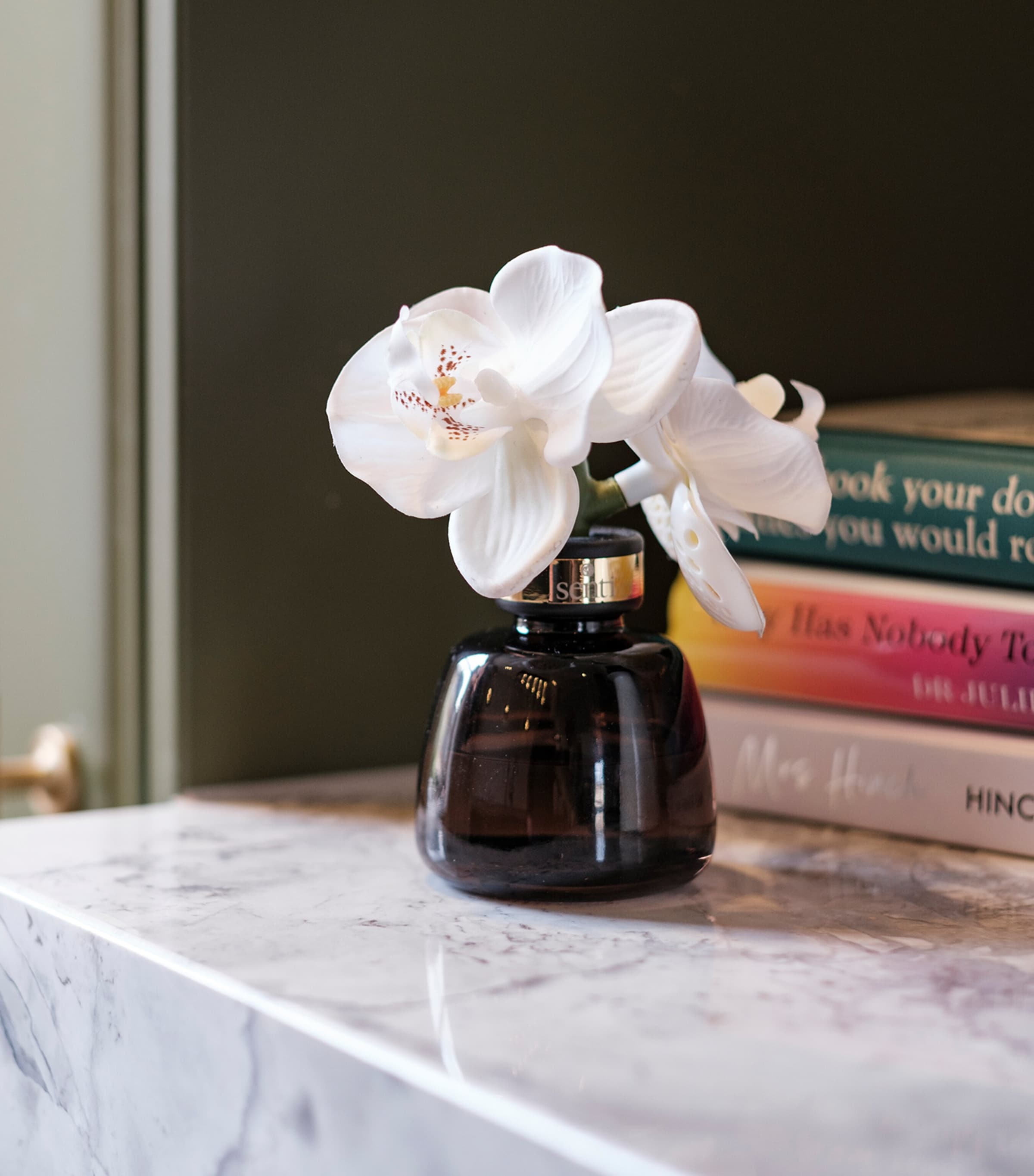 The Little Orchid Amber and Oud Diffuser (100ml) BRONZE Image 3