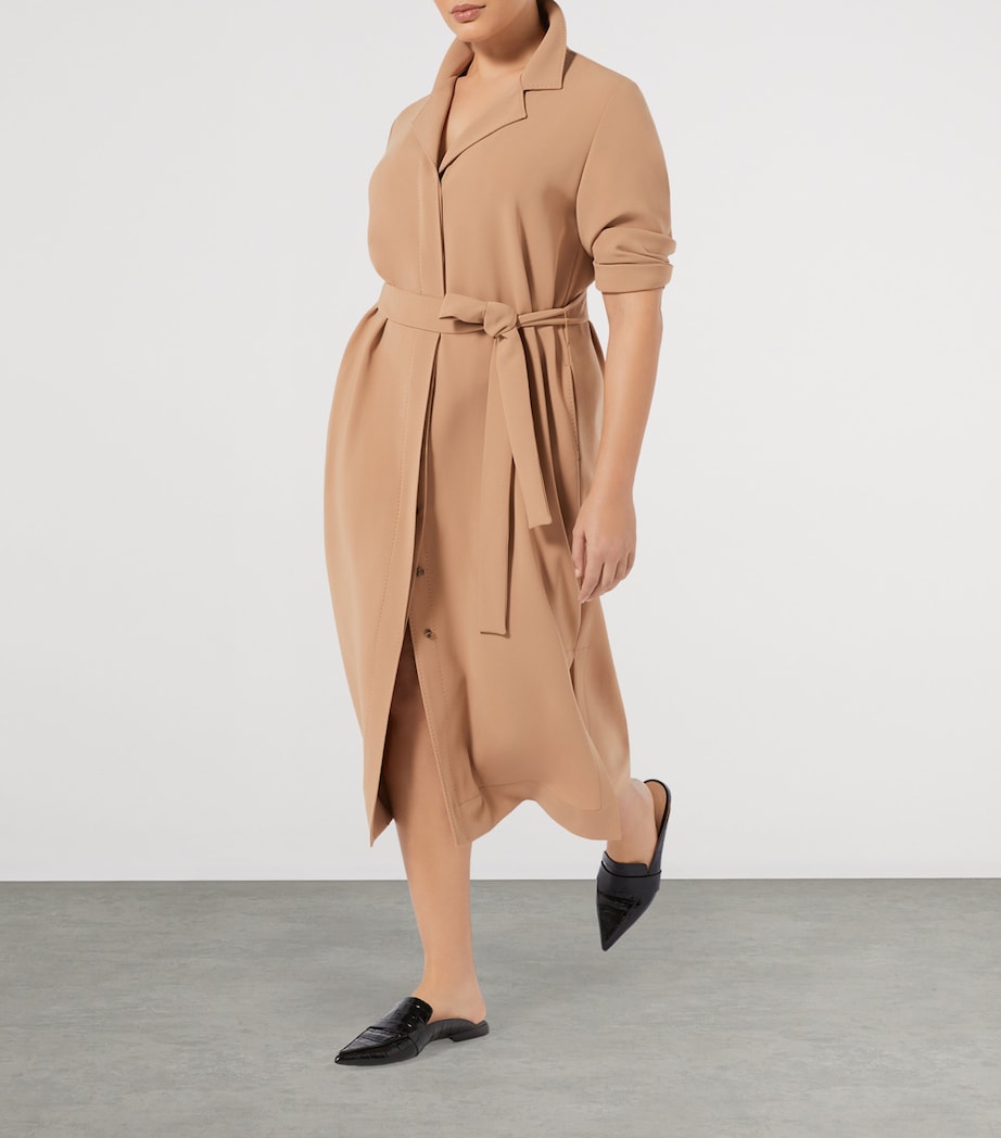 Cady Pomezia Midi Dress CAMEL Image 5