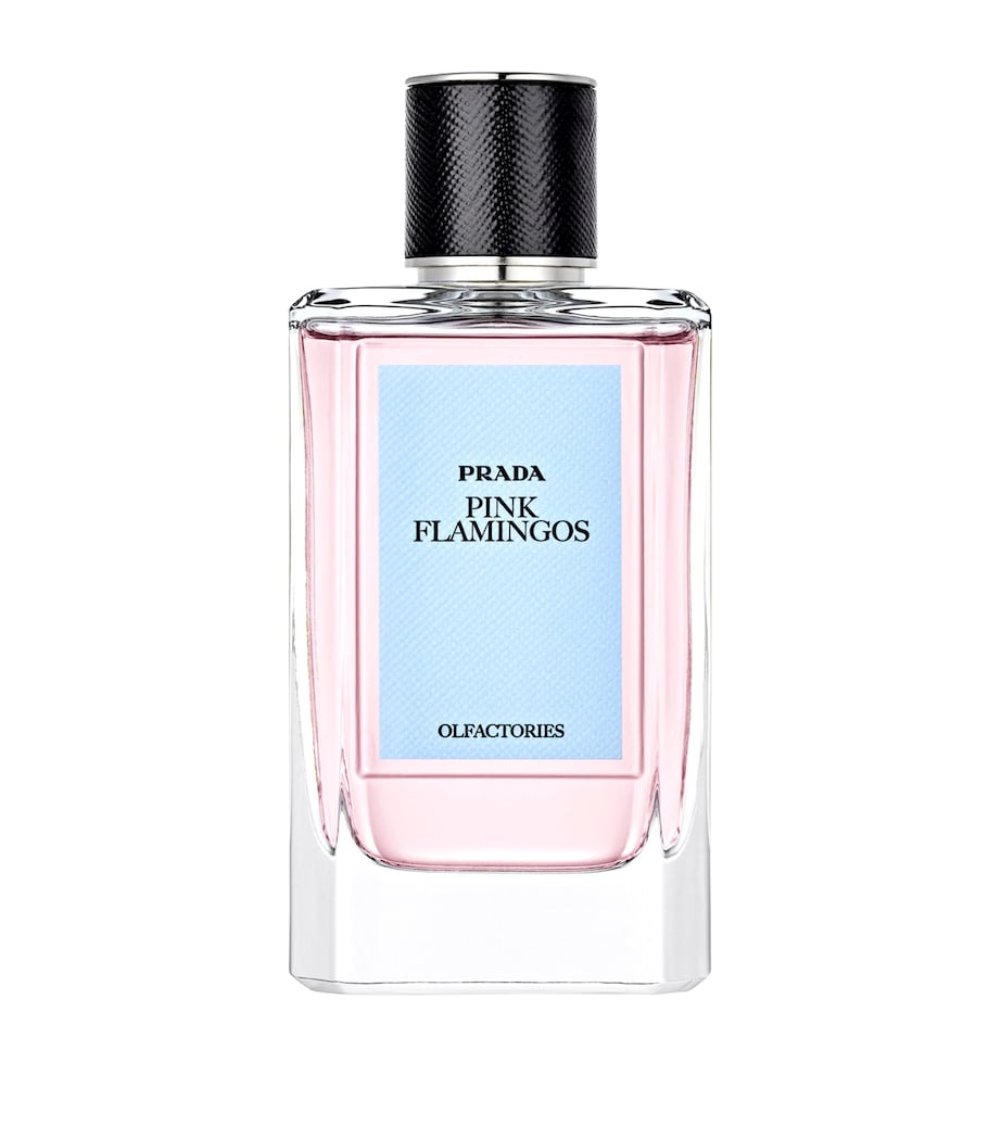 Olfactory Pink Flamingo (100ml) NO COLOUR Image 1