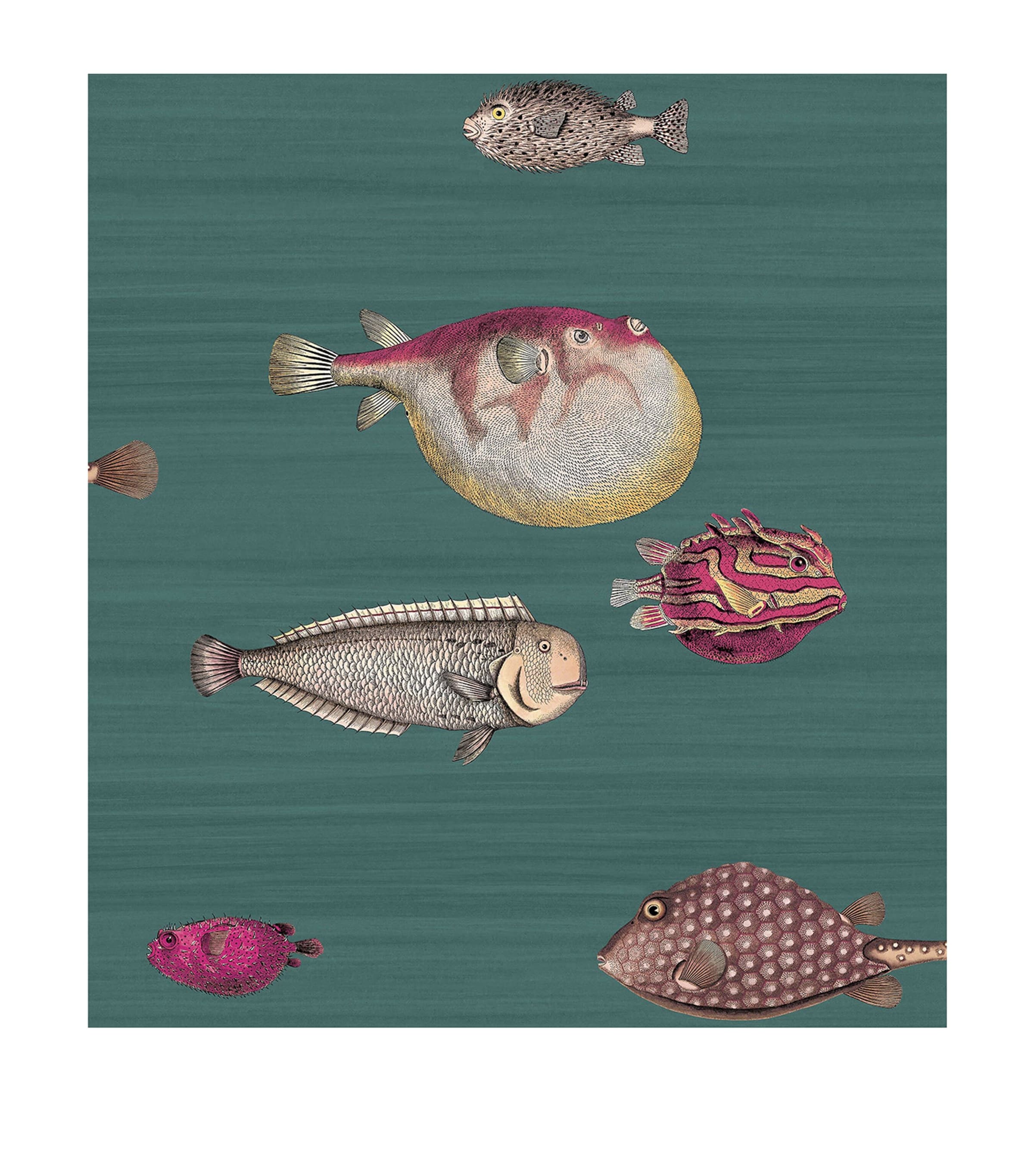 Cole & Son x Fornasetti Acquario Wallpaper Roll Dark Viridian Image 1