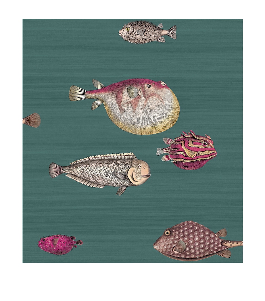 x Fornasetti Acquario Wallpaper Roll DARK VIRIDIAN Image 1