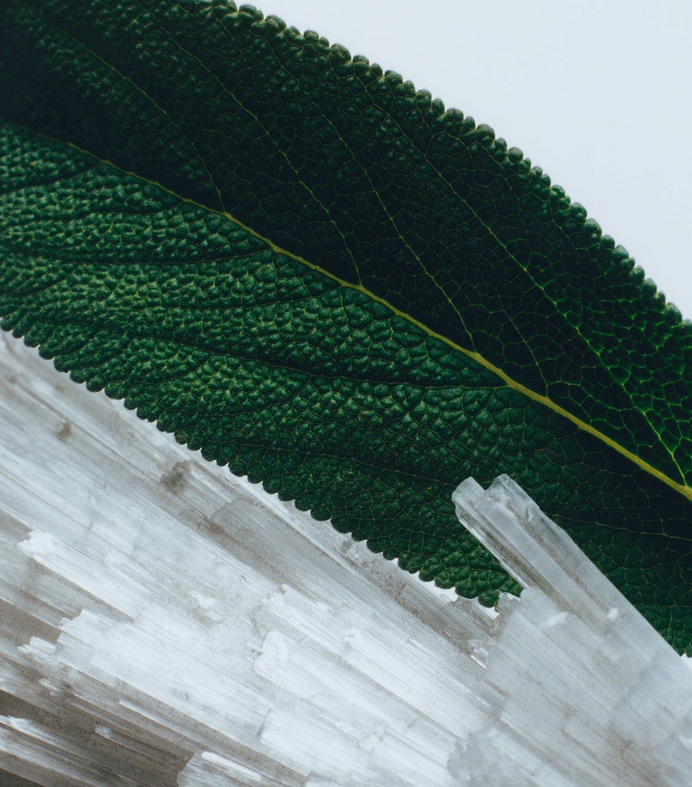 Wood Sage & Sea Salt Travel Candle (65g) NO COLOUR Image 3