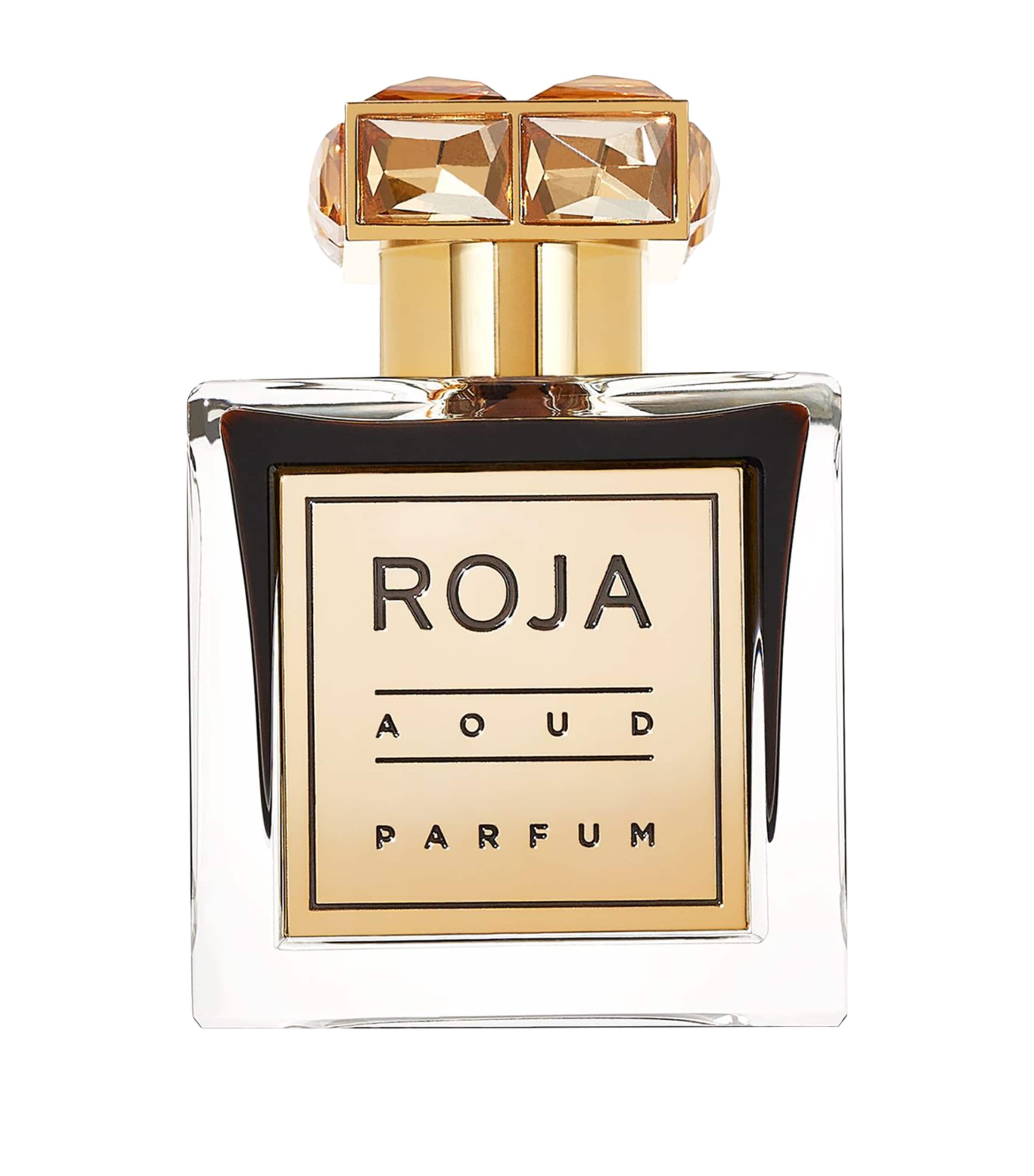 Aoud Perfume (100ml) NO COLOUR Image 1