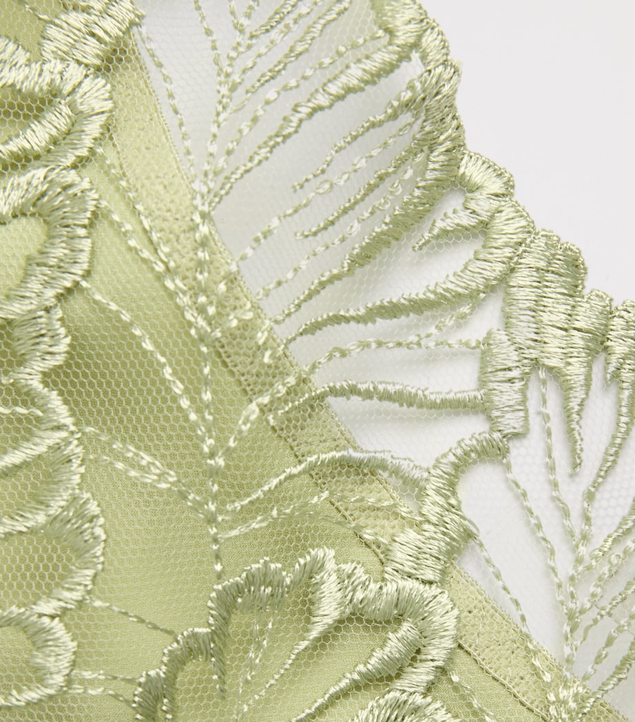 Lace-Trim Laurel Bodysuit PISTACHIO Image 4