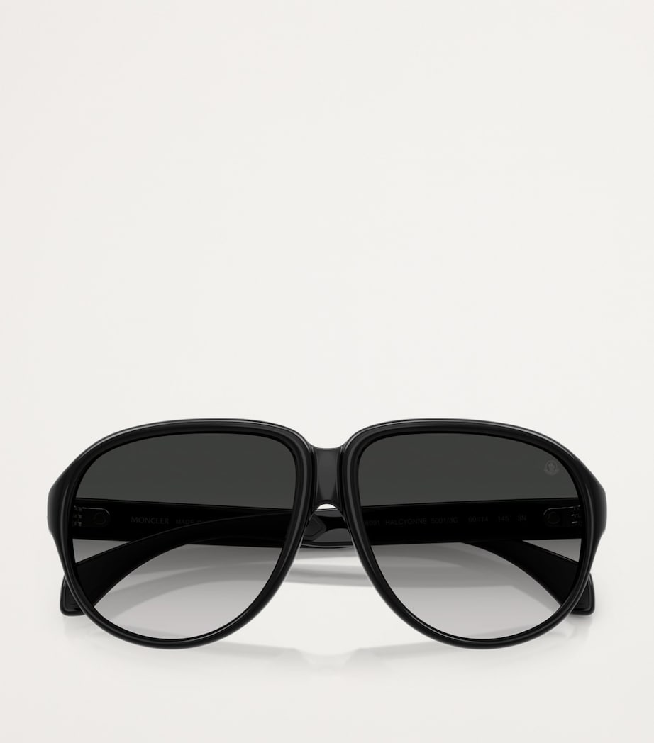 Injected Halcyonne ME8001 Sunglasses 50013C Image 5