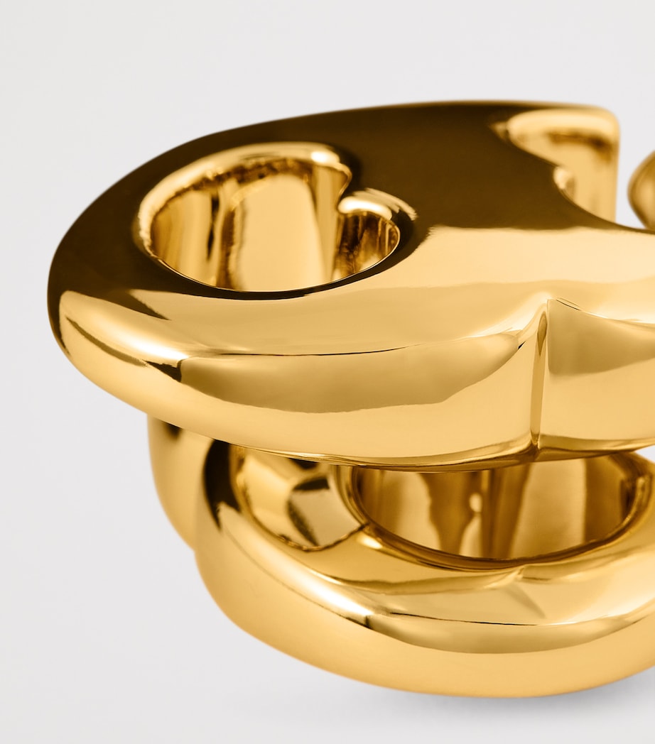 Gemini Link Earrings 200 Image 6