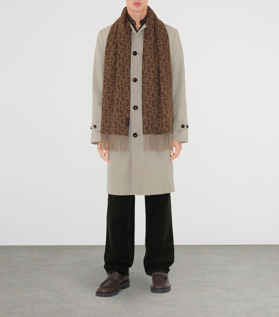 Cashmere B Charm Scarf TWIG Image 4