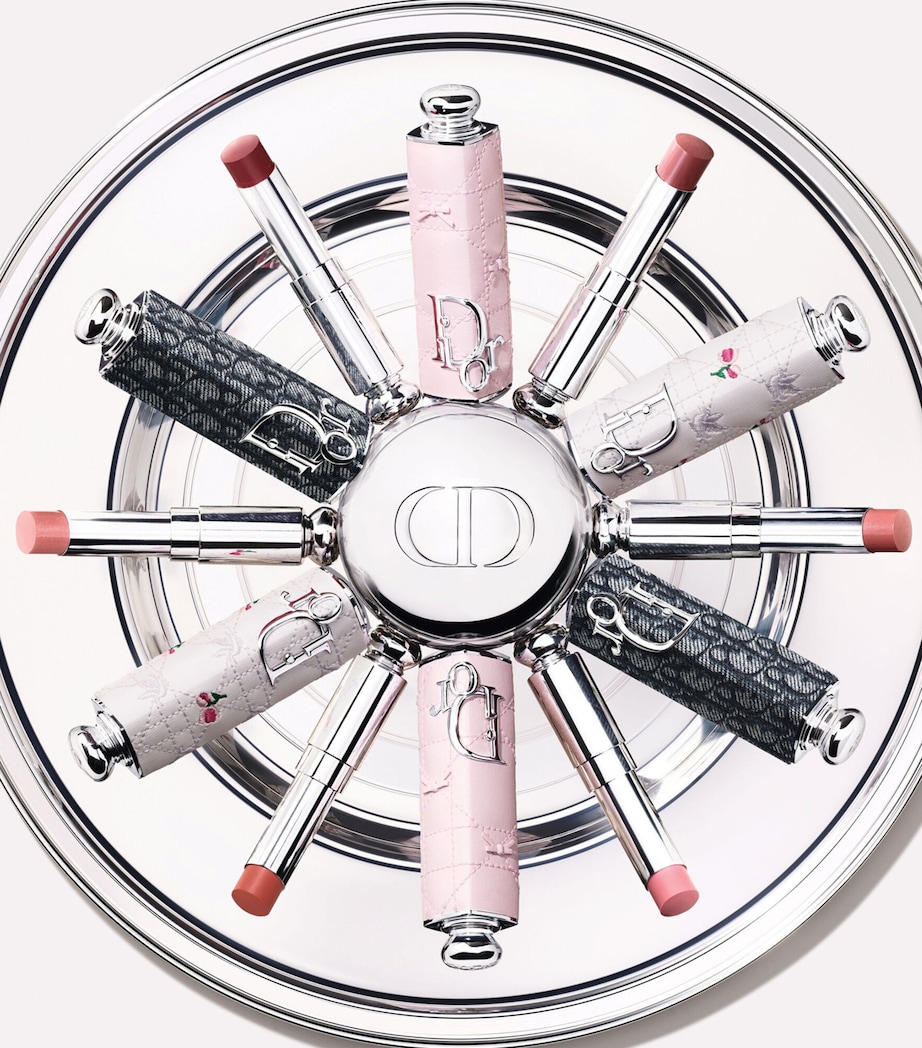 DIOR Dior Addict Lipstick Case Grey Image 2