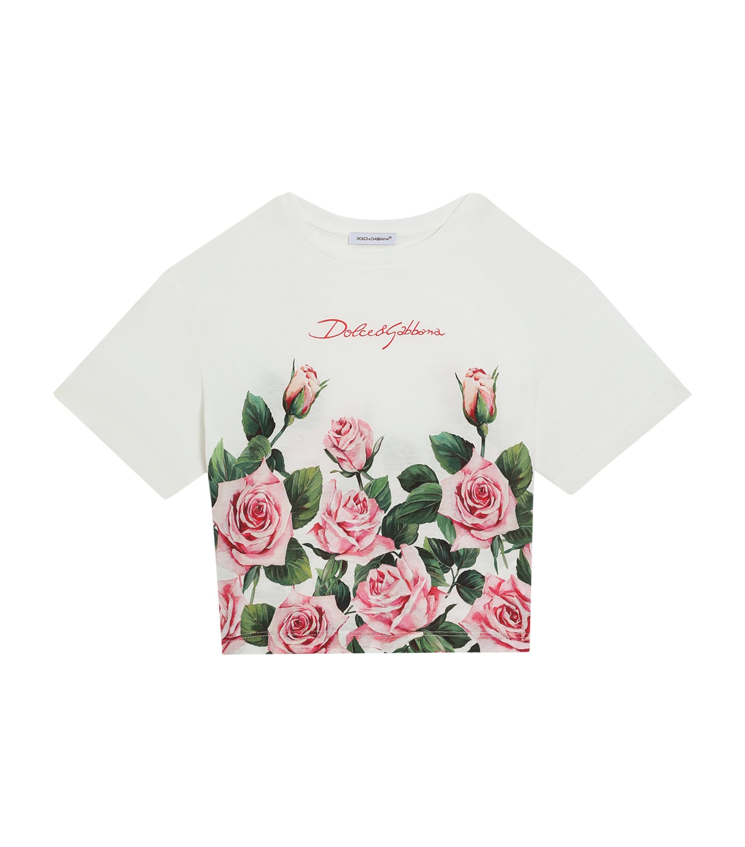 Shop Dolce & Gabbana Cotton Logo Rose T-shirt
