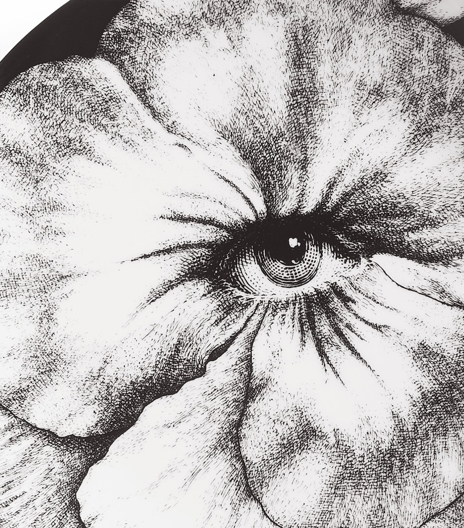 Fornasetti Tema e Variazioni No. 92 Wall Plate (26cm) Image 4