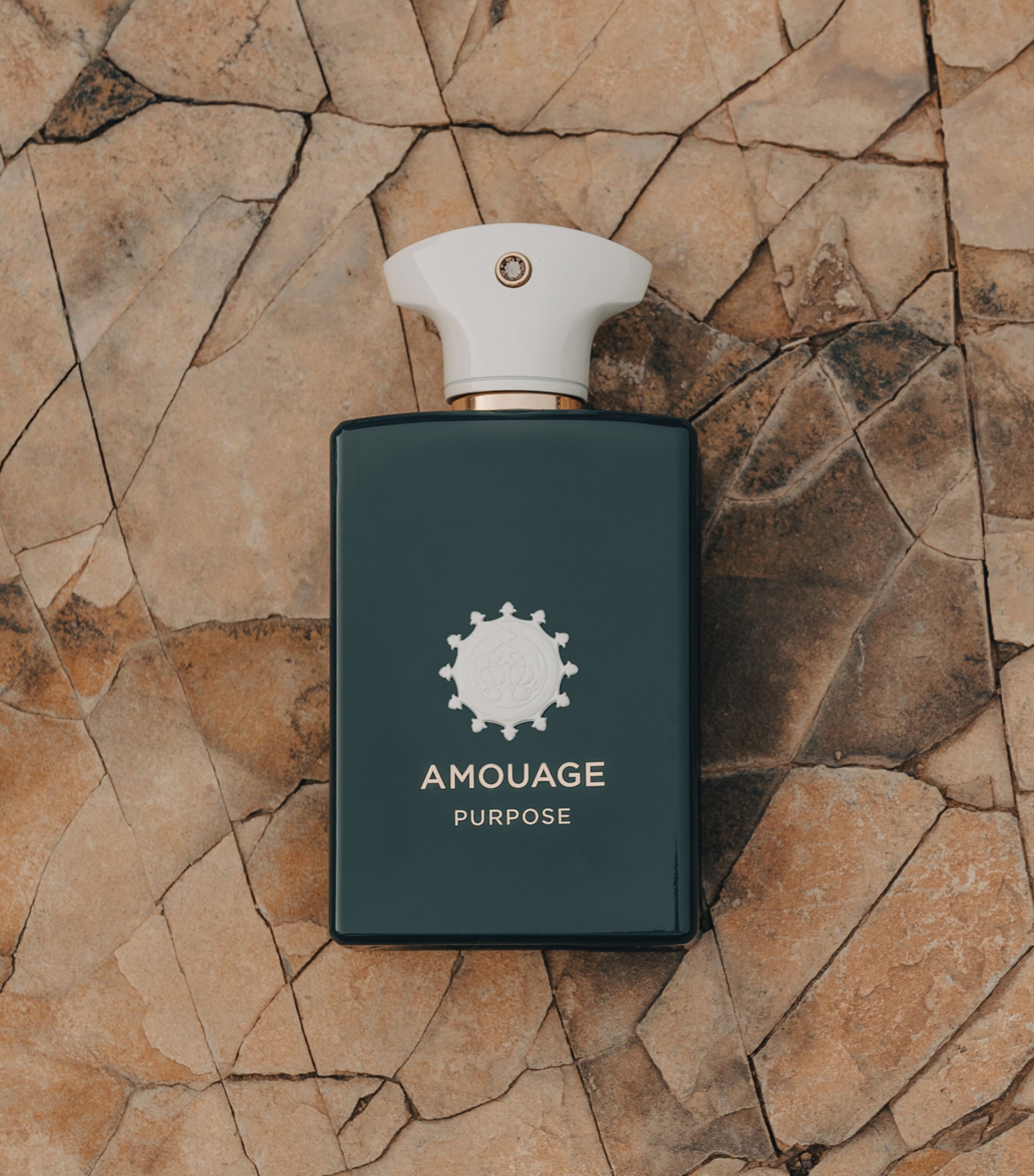Amouage Purpose Eau de Parfum (100ml) Image 4