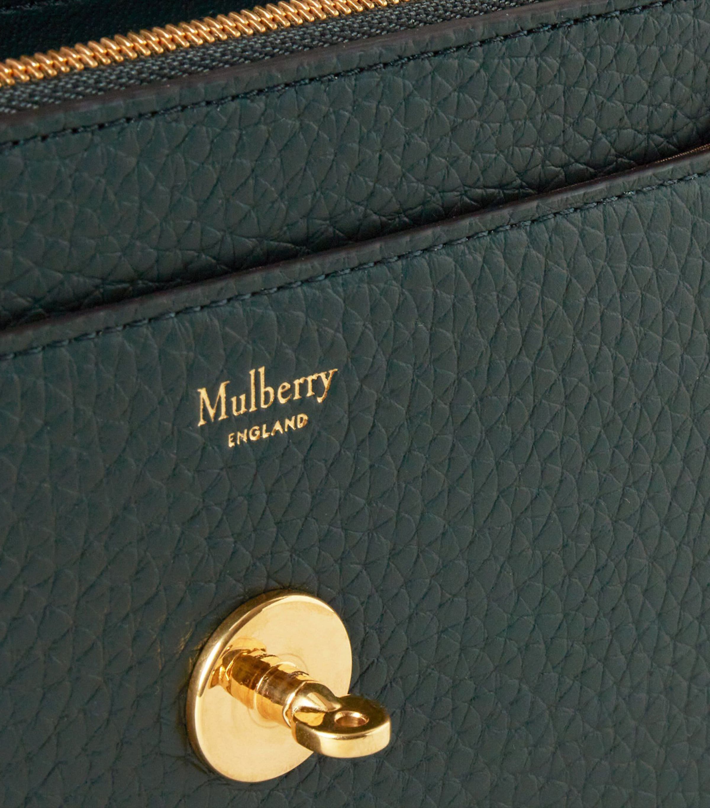 Small Darley Cross-Body Bag MULBERRY GREEN Image 6